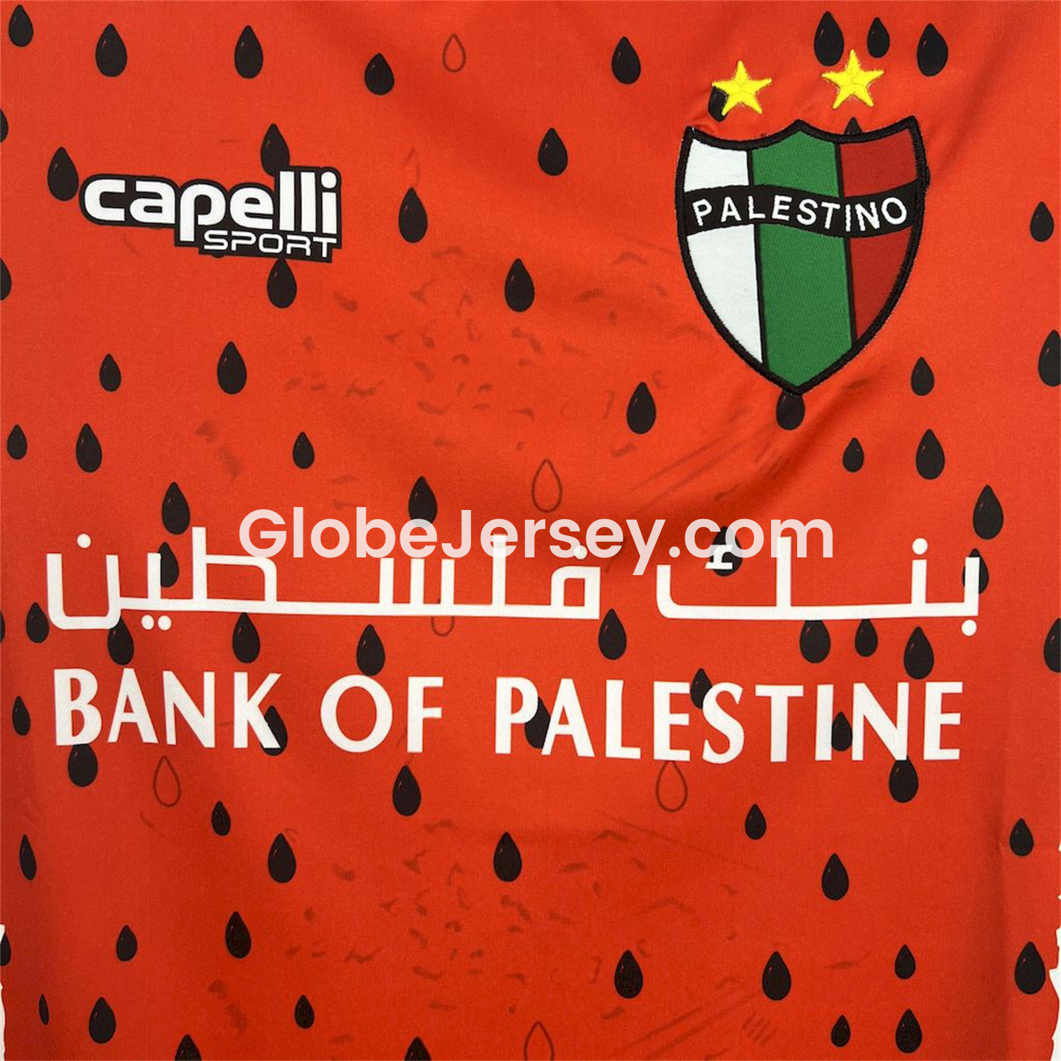 GlobeJersey-Club Deportivo Palestino 25-26 Third Jersey - Fans Version