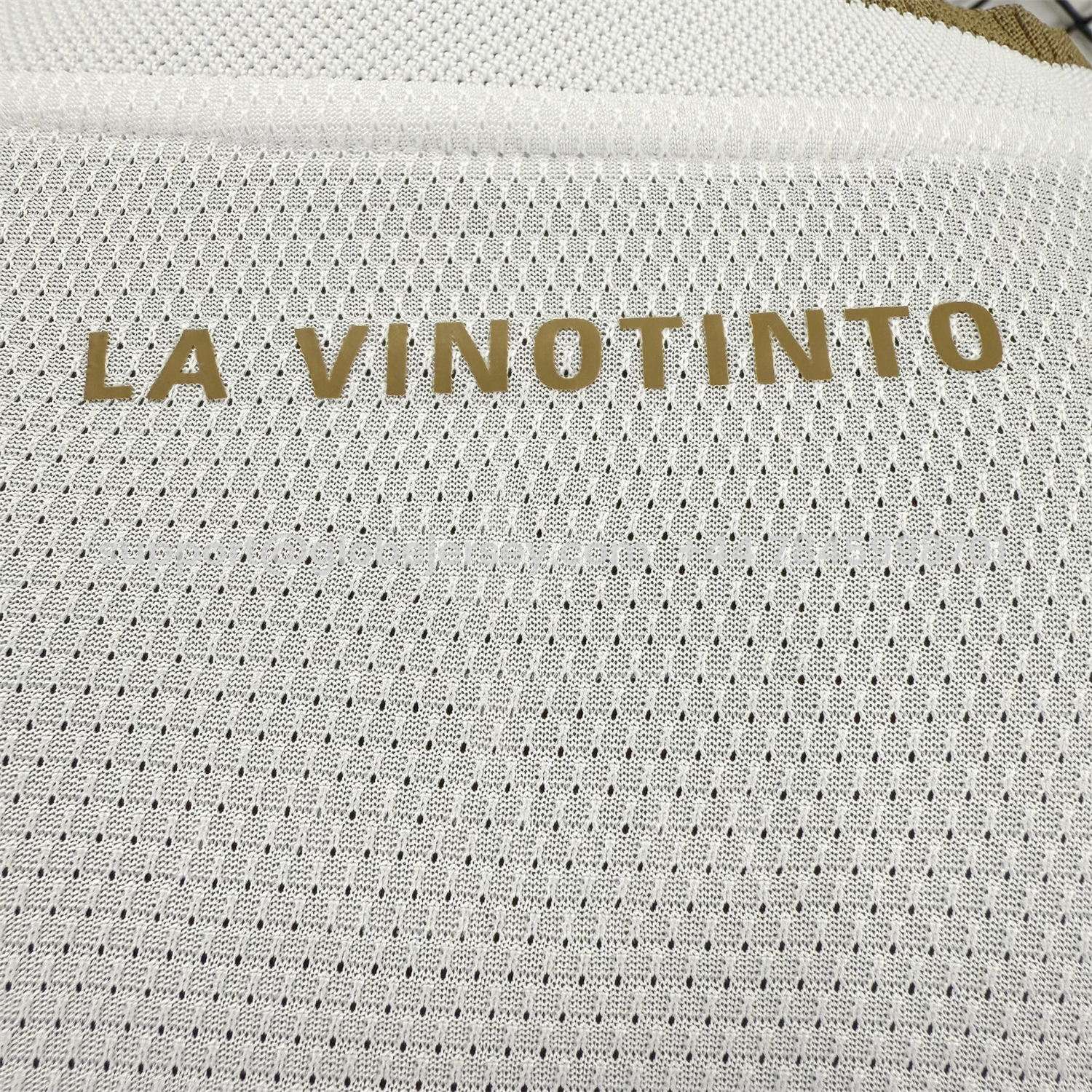 GlobeJersey-Venezuela 2026 Away Jersey - Player Version