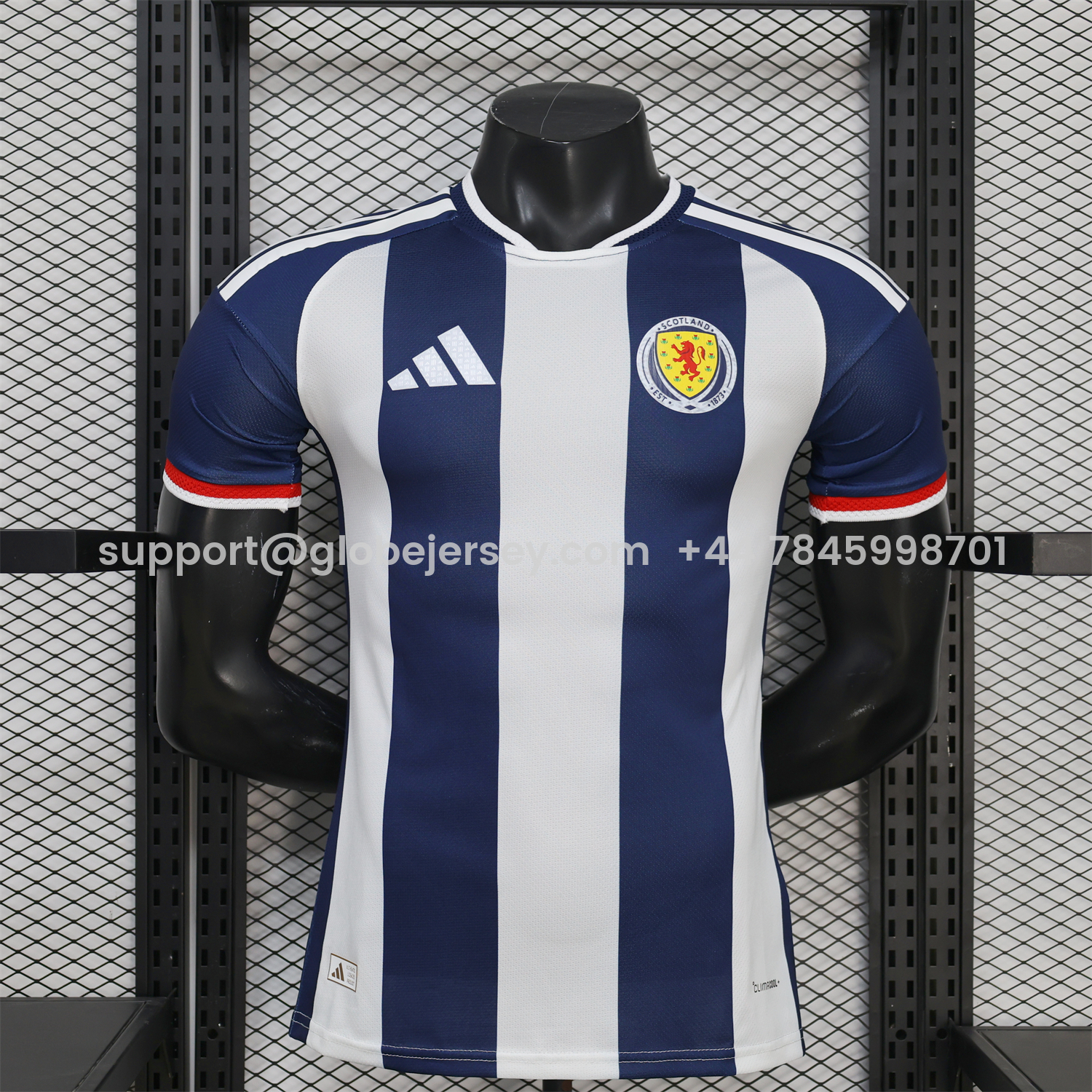 GlobeJersey-Wales 2026 Blue And White Special Jersey - Player Version