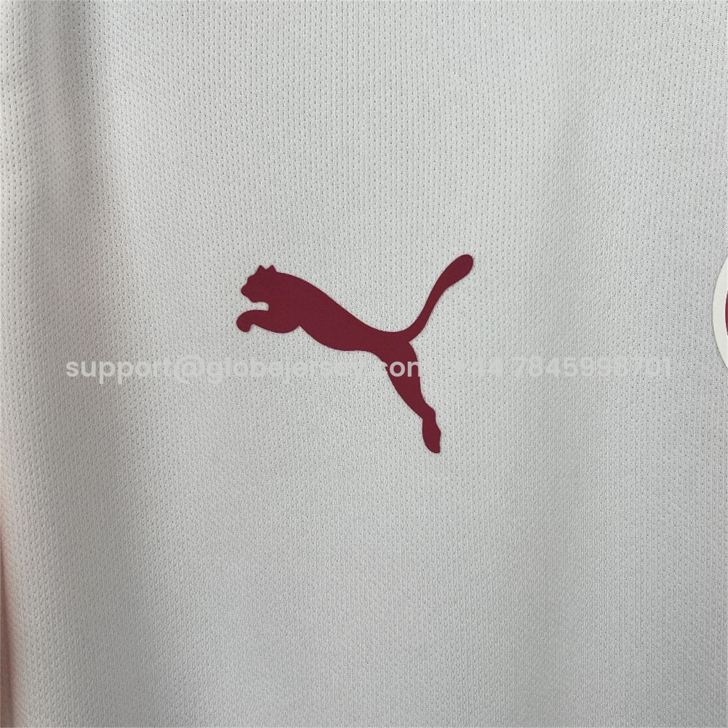 GlobeJersey-Galatasaray 25-26 Away Unsponsored Jersey with Five Stars - Fans Version