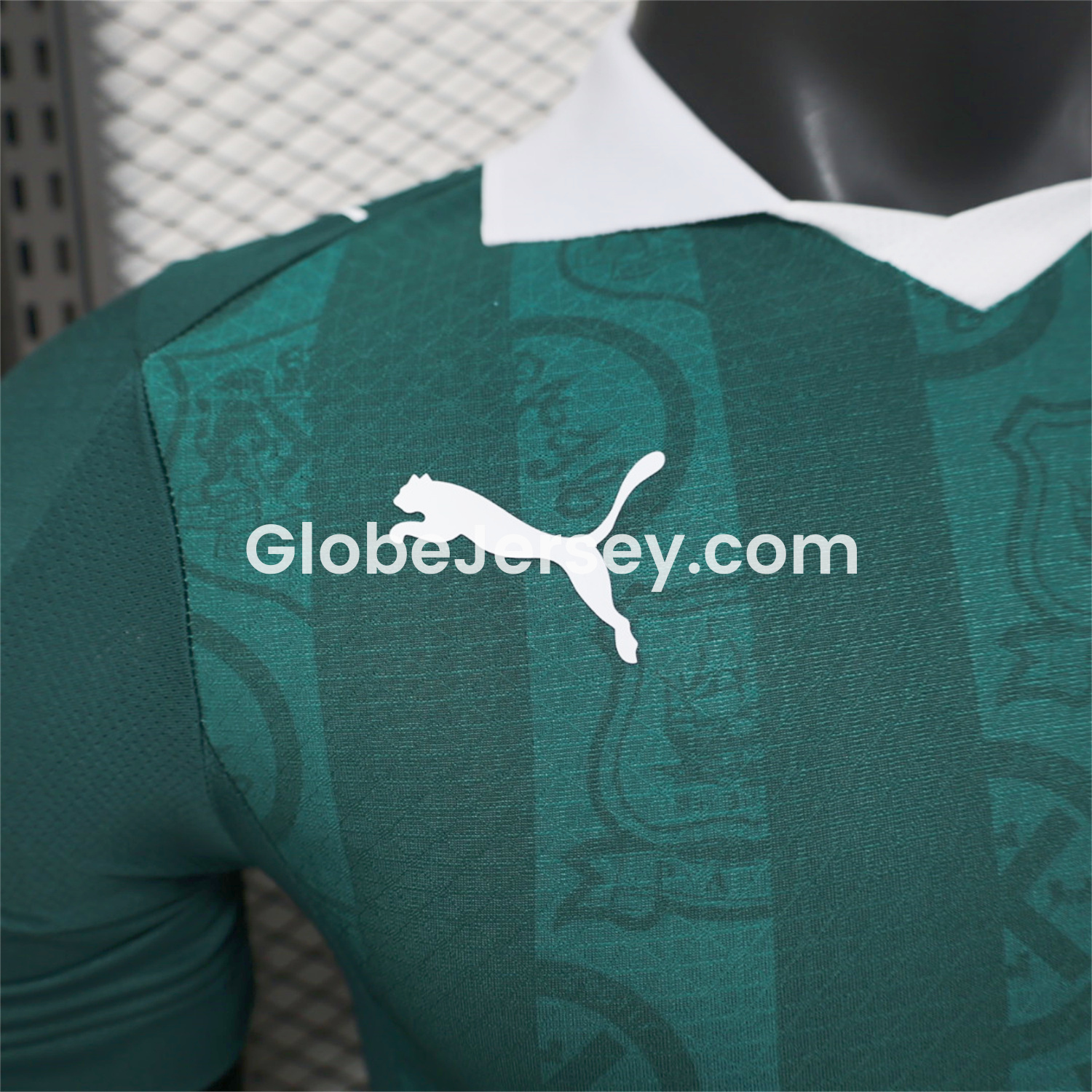 GlobeJersey-Plymouth Argyle 25-26 Home Unsponsored Jersey - Player Version