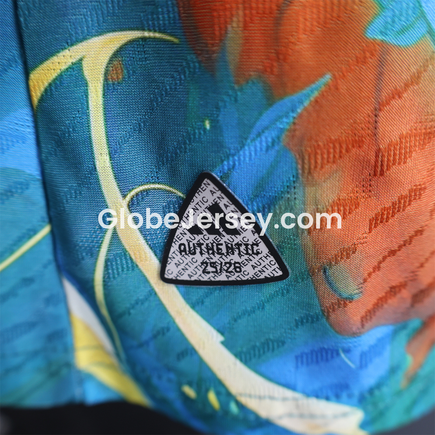 GlobeJersey-Japan 25-26 Roronoa Zoro Green Special Jersey - Player Version