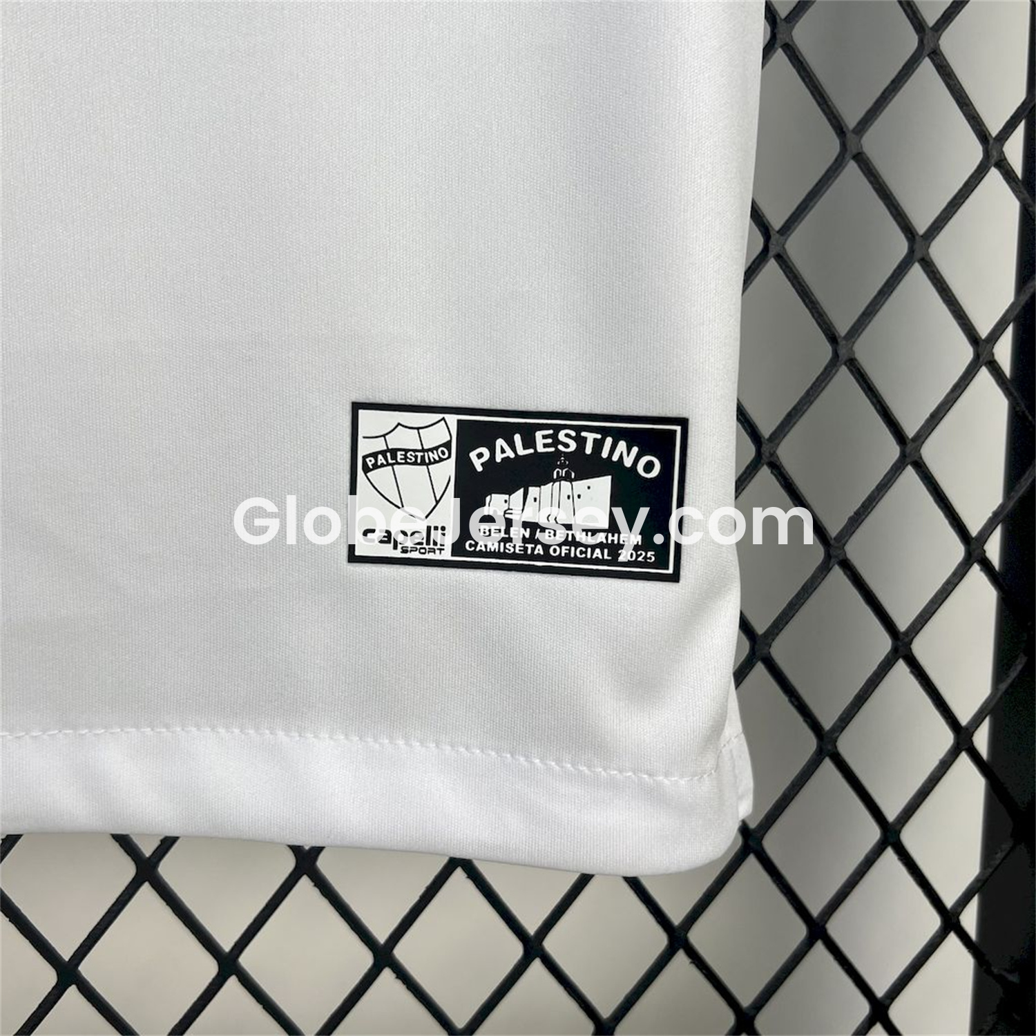 GlobeJersey-Club Deportivo Palestino 25-26 Home Jersey - Fans Version