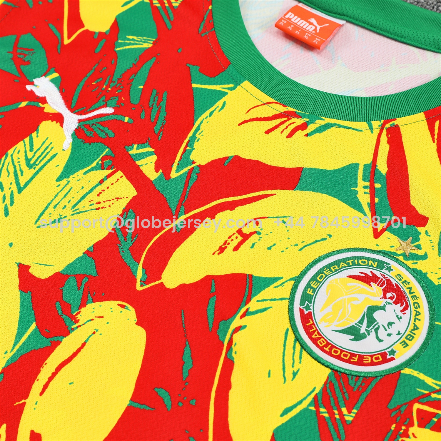 GlobeJersey-Senegal 2026 Vest Training Set - Variegated Vest and Green Shorts