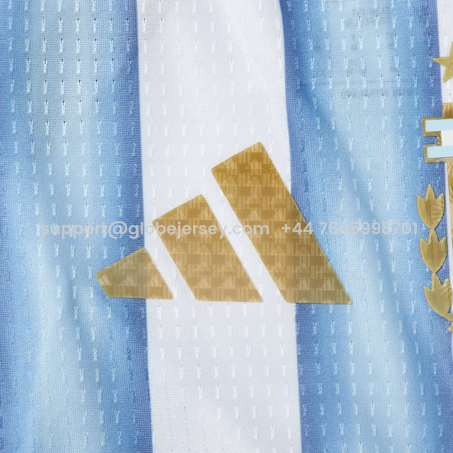 GlobeJersey-Argentina 2026 Home Pet Jersey - Player Version