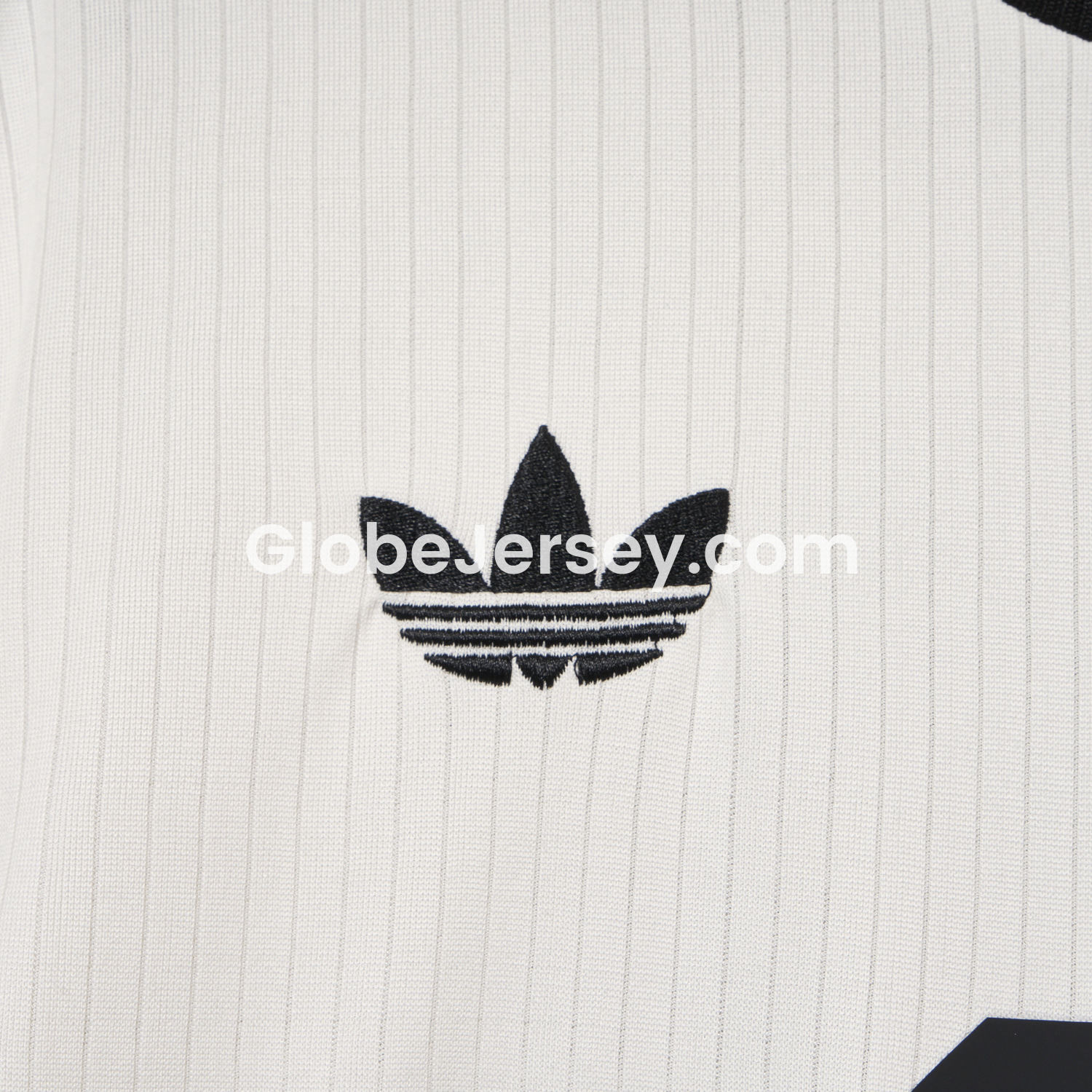 GlobeJersey-Germany 2025 125-Year Anniversary Commemorative Edition Jersey - Fans Version