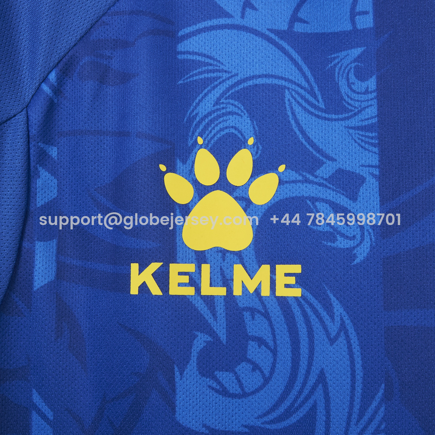 GlobeJersey-Bosnia and Herzegovina 2025 Home Jersey - Fans Version