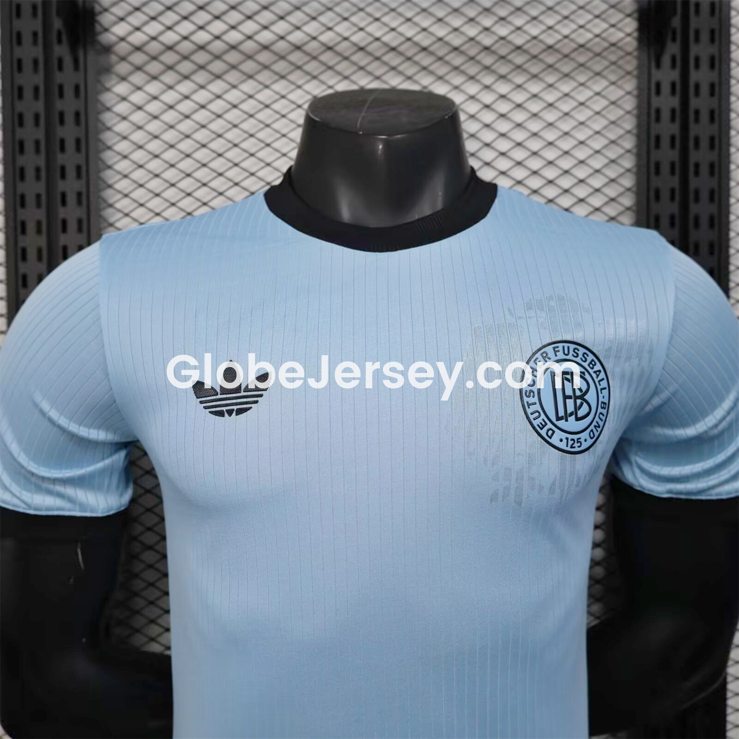 GlobeJersey-Germany 2025 125-Year Anniversary GK Blue Jersey - Player Version