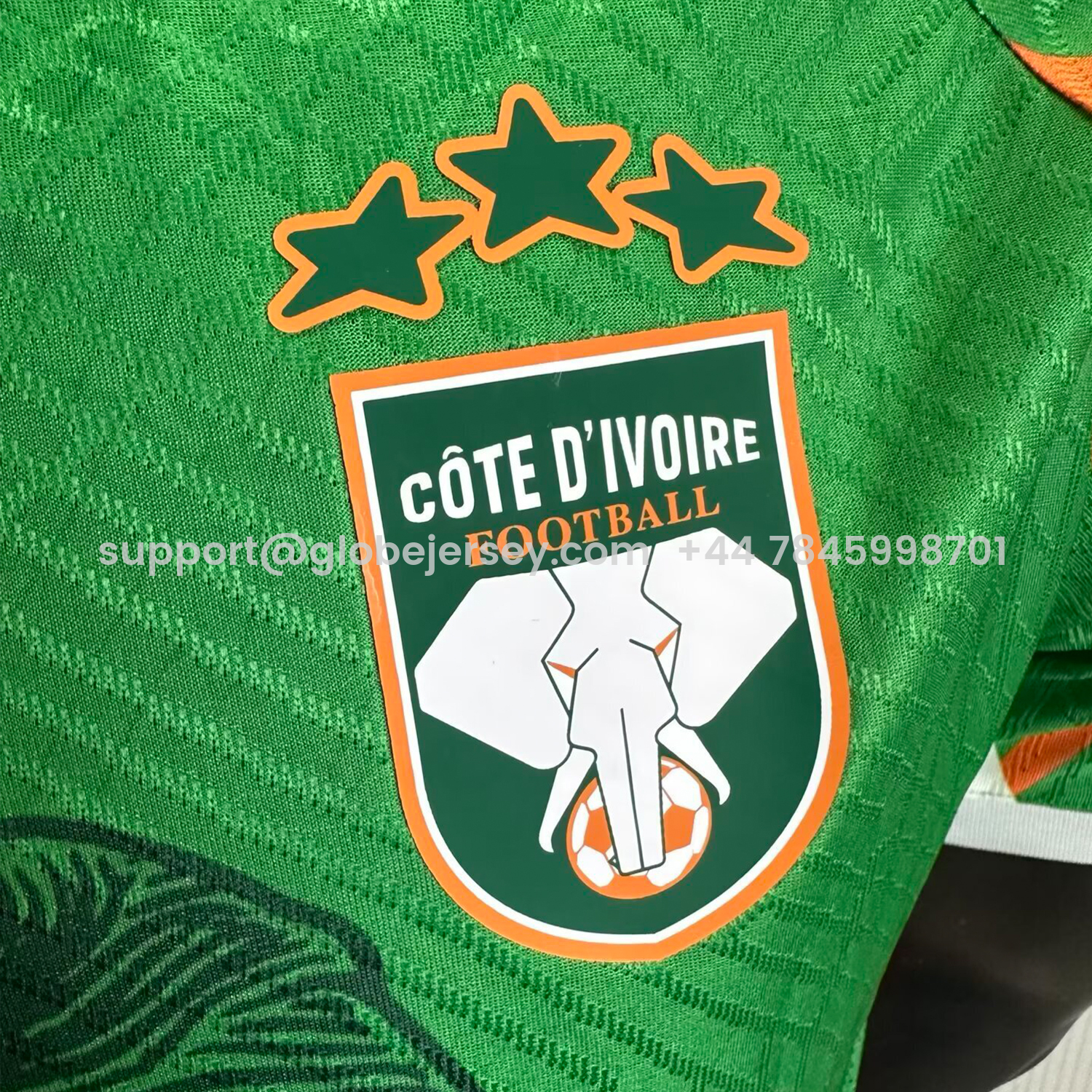 GlobeJersey-Ivory Coast 25-26 Elephant And Kid Green Jersey - Player Version