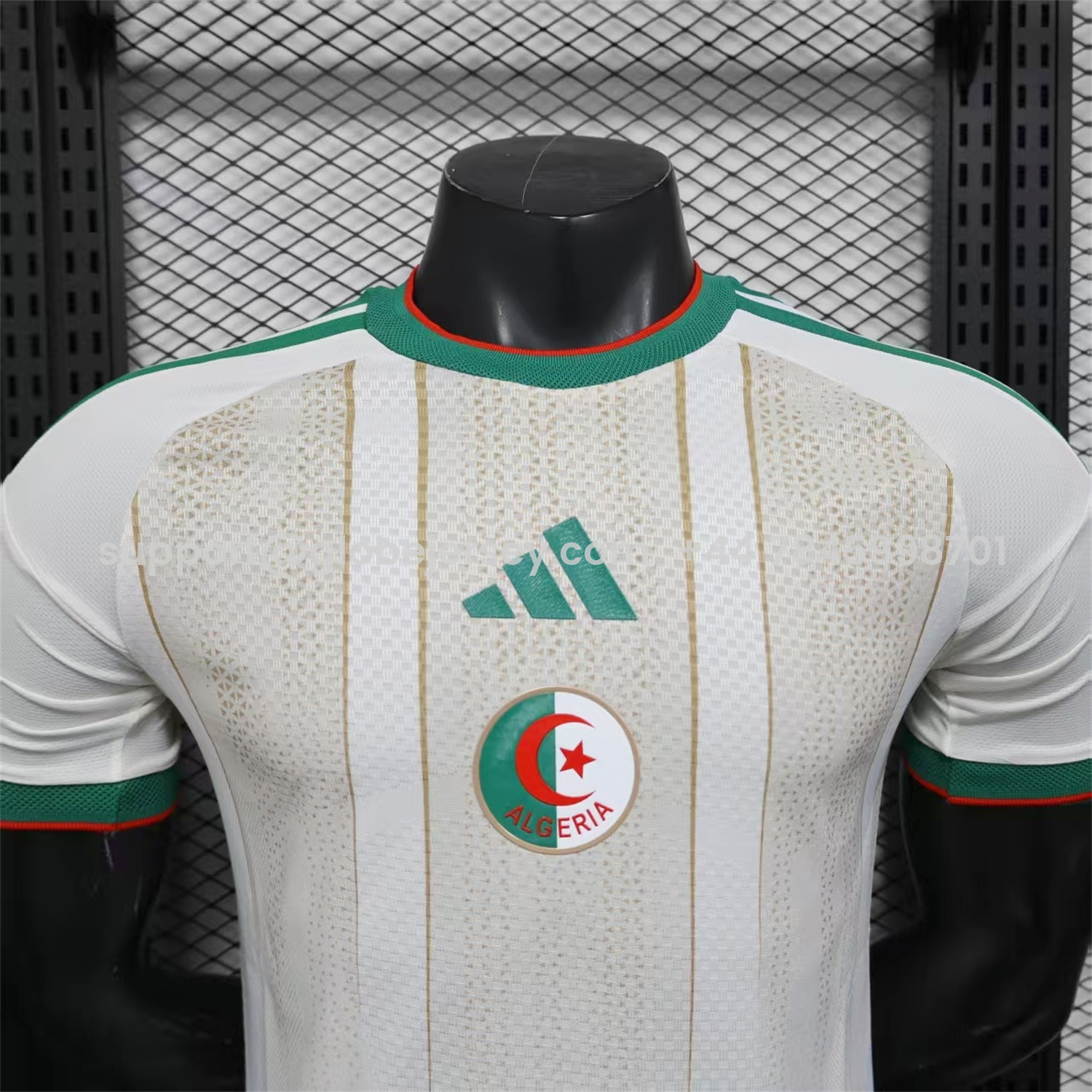 GlobeJersey-Algeria 2026 Home Jersey - Player Version