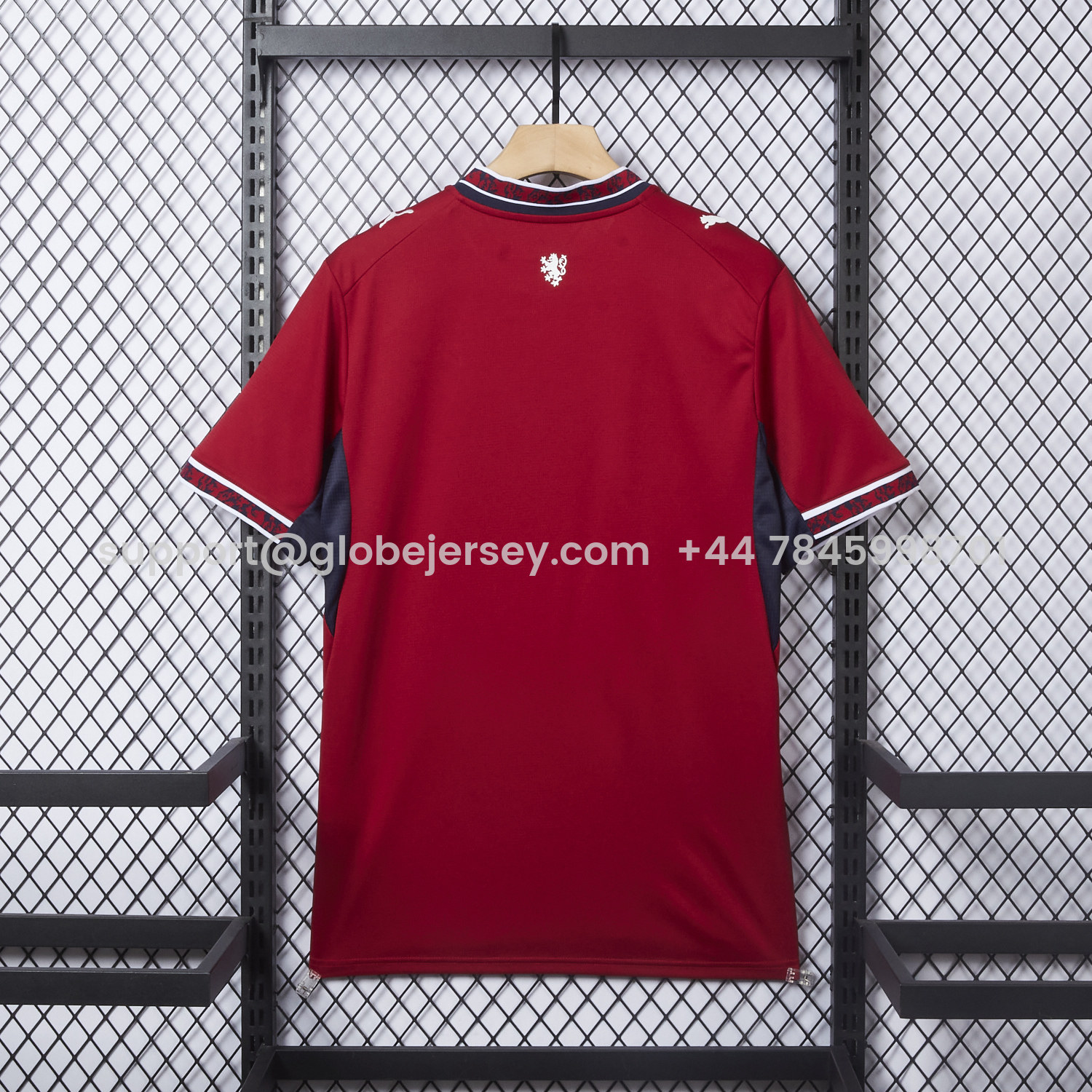 GlobeJersey-Czech Republic 2026 Home Jersey - Fans Version