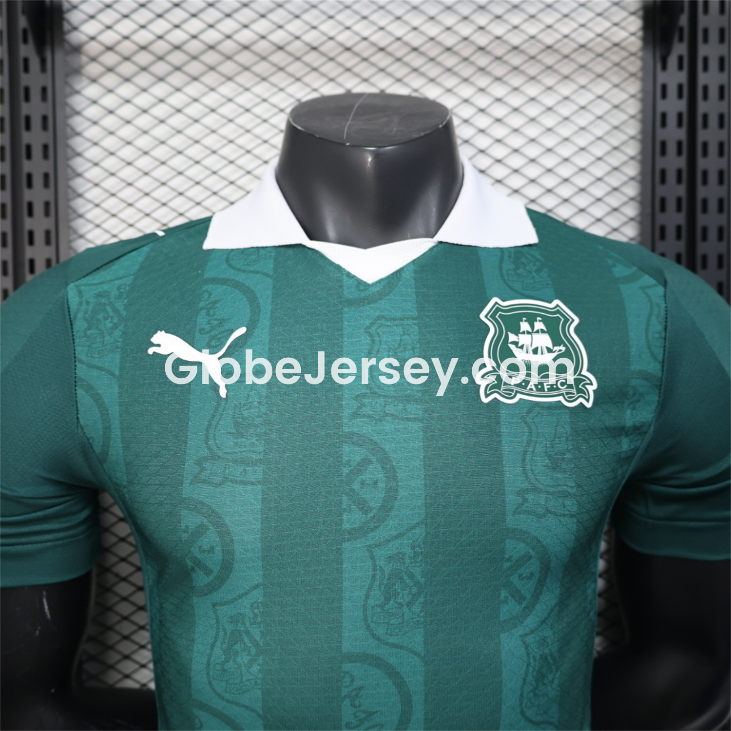 GlobeJersey-Plymouth Argyle 25-26 Home Unsponsored Jersey - Player Version