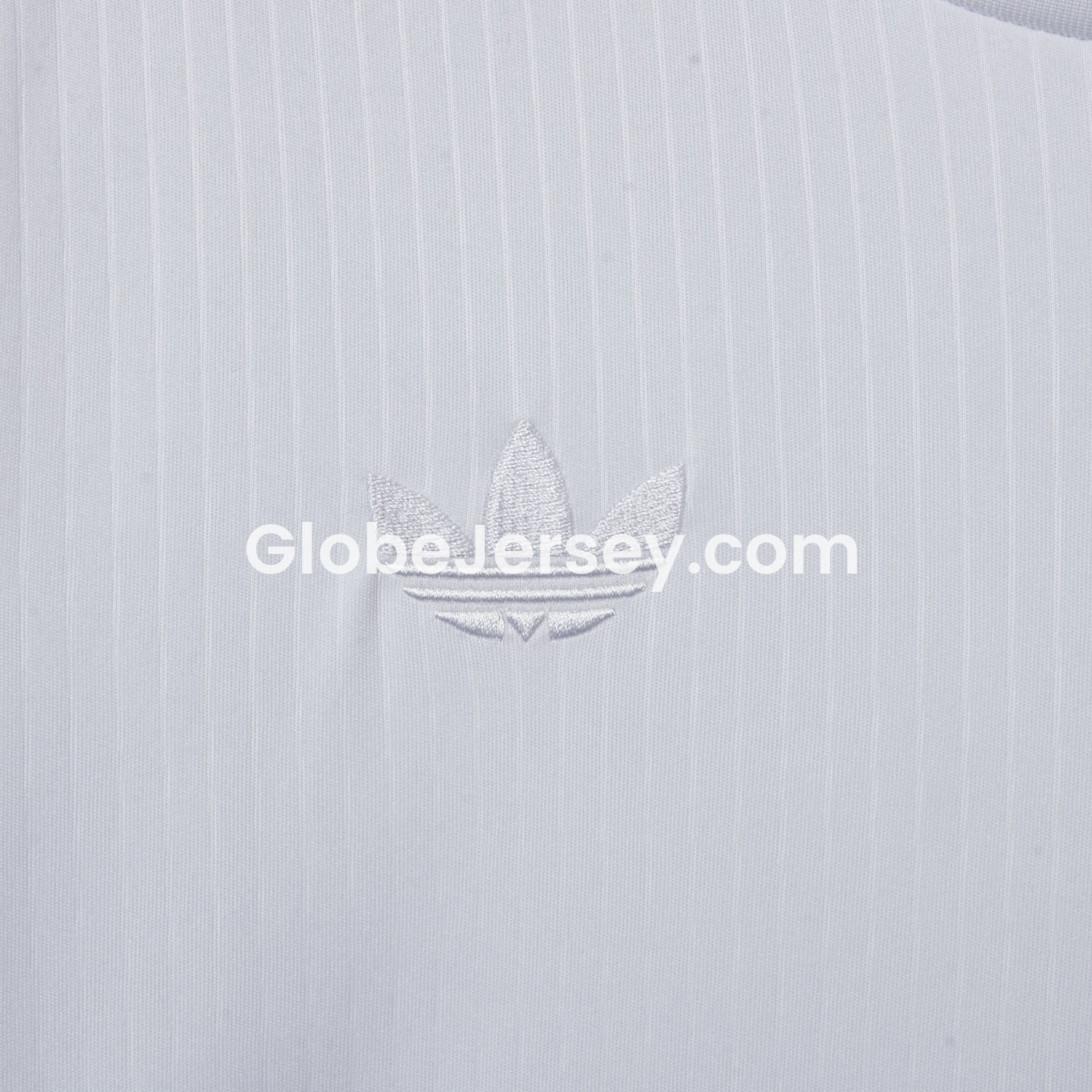 GlobeJersey-Germany 2025 125-Year Anniversary Pure White Long Sleeves Jersey - Fans Version