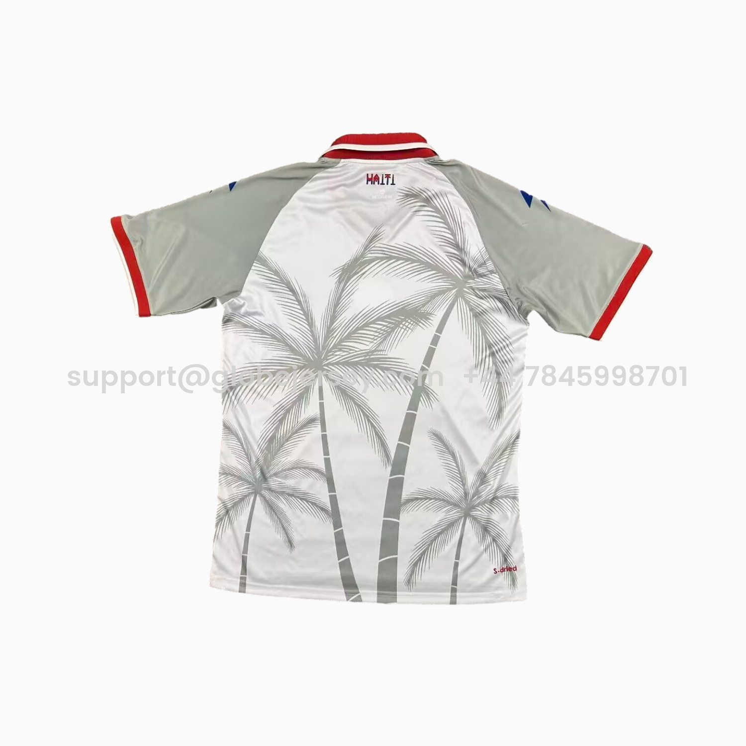 GlobeJersey-Haiti 26-27 Away Jersey - Fans Version