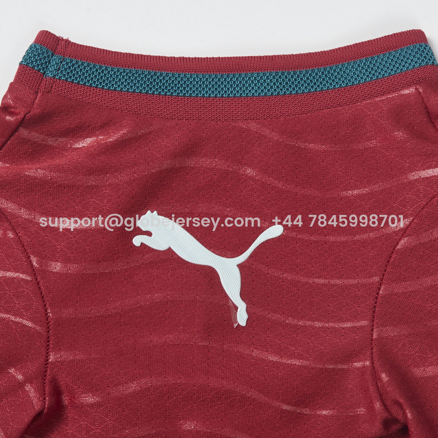 GlobeJersey-Portugal 2026 Home Pet Jersey - Player Version