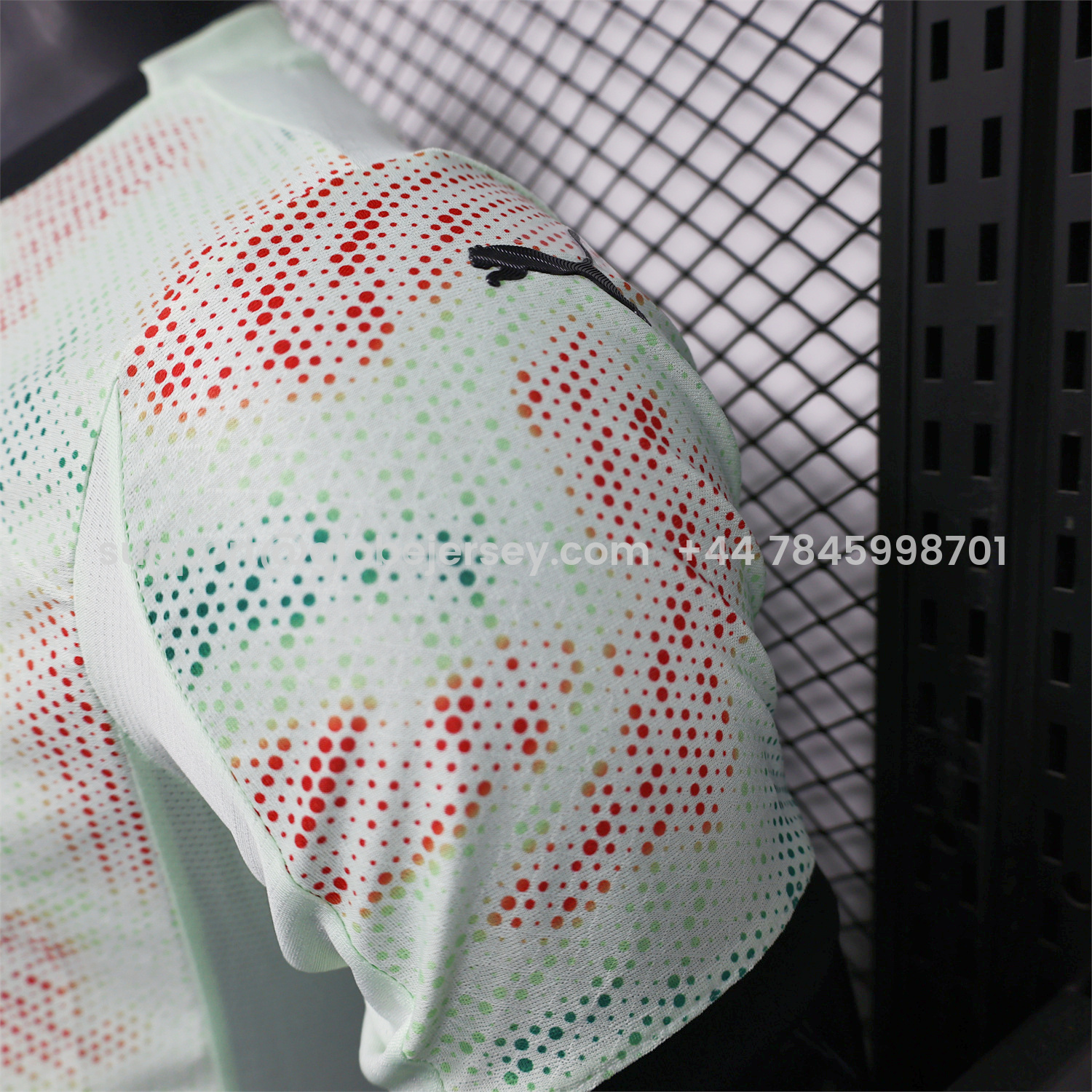 GlobeJersey-Portugal 2025 Pre-Match 2 Jersey - Player Version