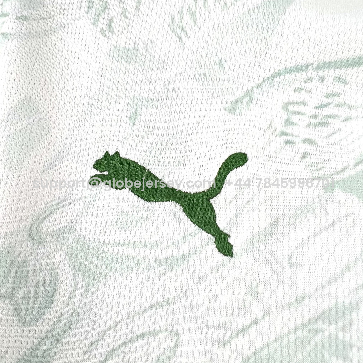 GlobeJersey-Portugal 2026 Pale Mint Green With Moss Green Special Jersey - Fans Version