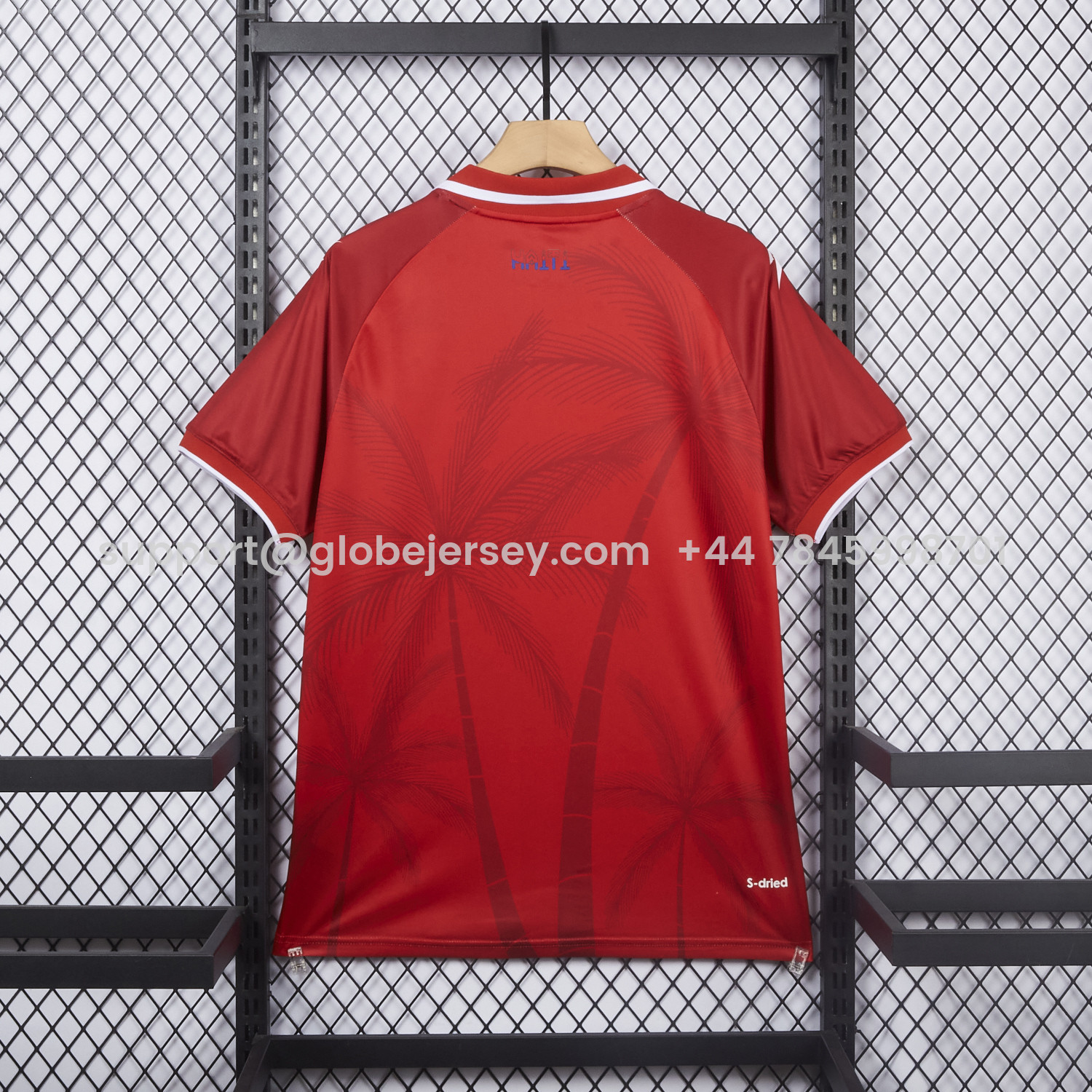 GlobeJersey-Haiti 26-27 Third Jersey - Fans Version