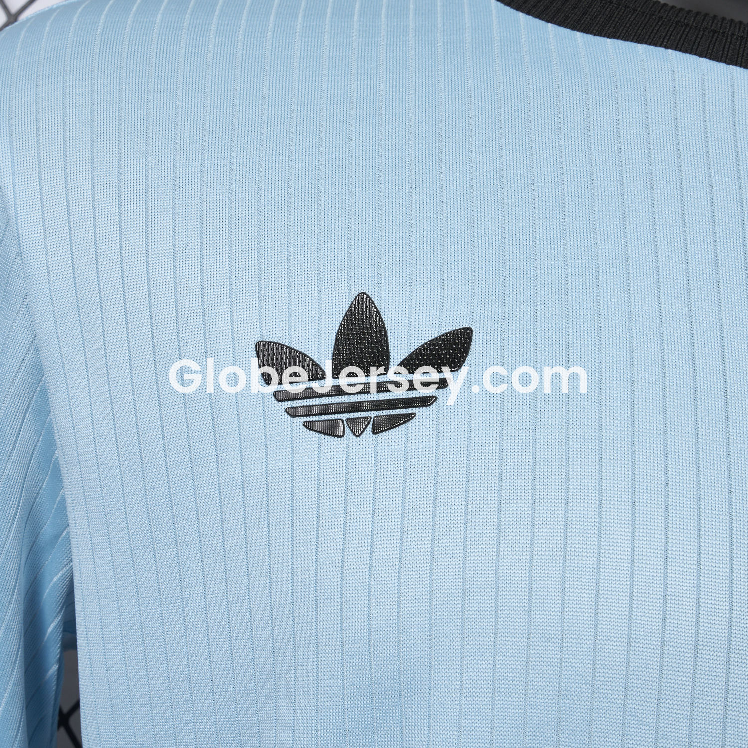 GlobeJersey-Germany 2025 125-Year Anniversary GK Blue Long Sleeve Jersey - Player Version