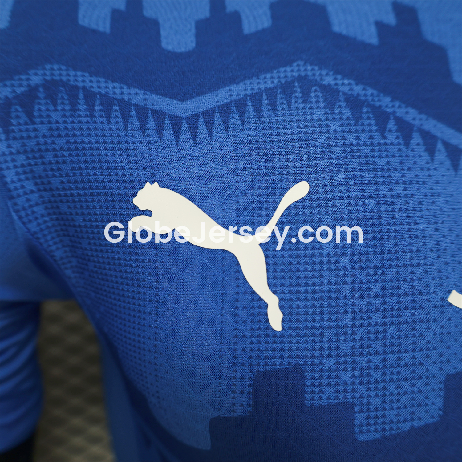 GlobeJersey-Al Hilal Riyadh Crescent 25-26 Club Home Jersey - Player Version