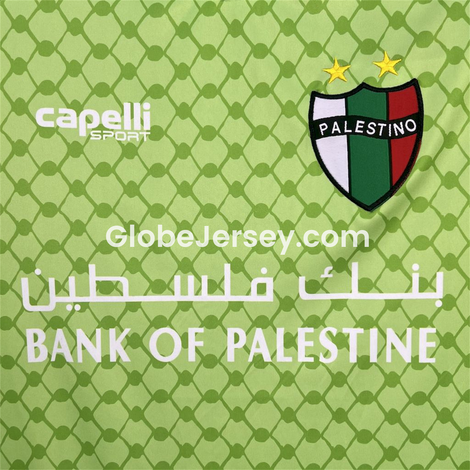 GlobeJersey-Club Deportivo Palestino 25-26 Green Goalkeeper Jersey - Fans Version