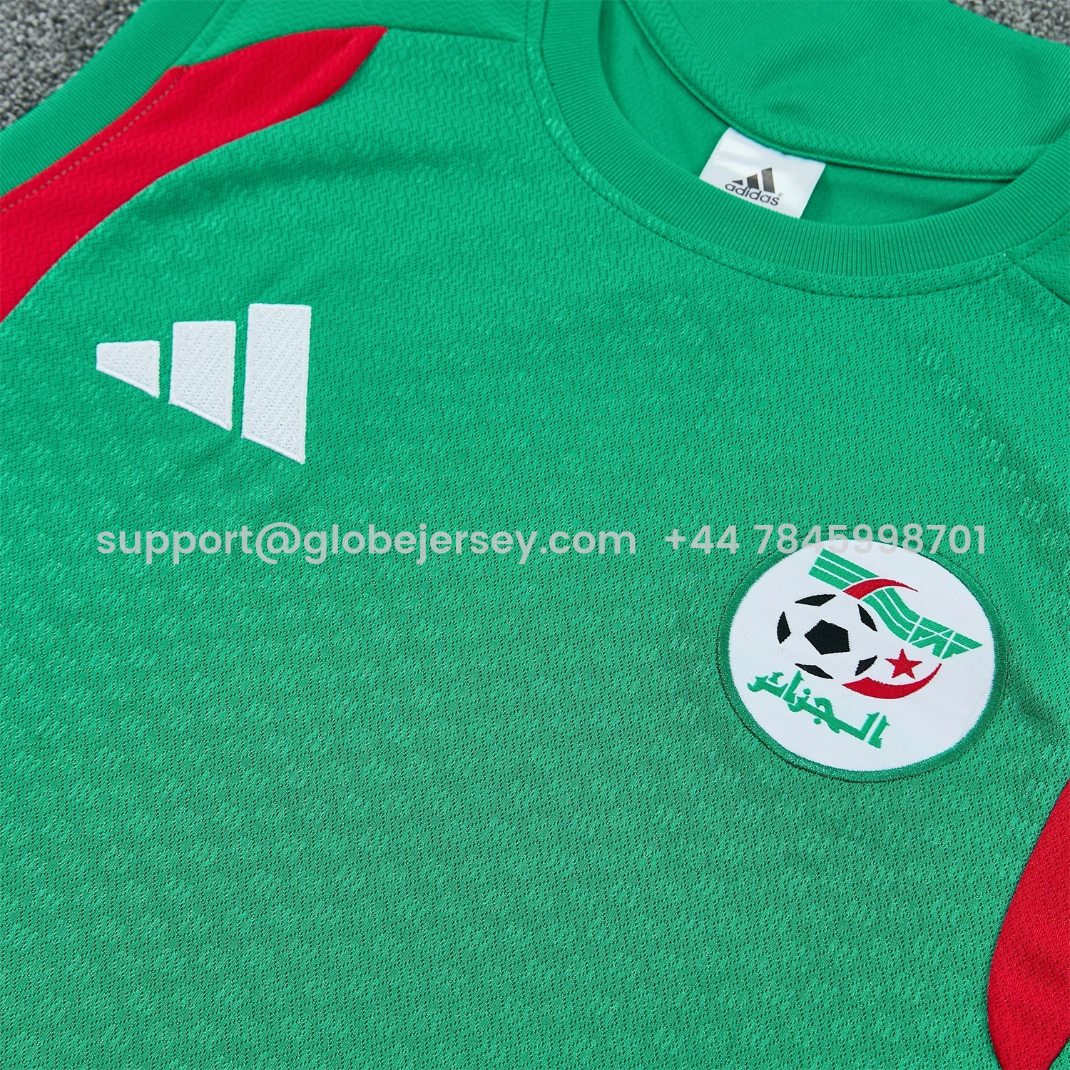 GlobeJersey-Algeria 2026 Vest Training Set - Green Vest and Shorts