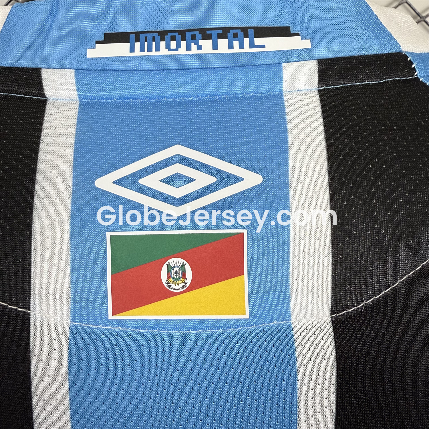 GlobeJersey-Gremio 25-26 Home Unsponsored Jersey - Player Version