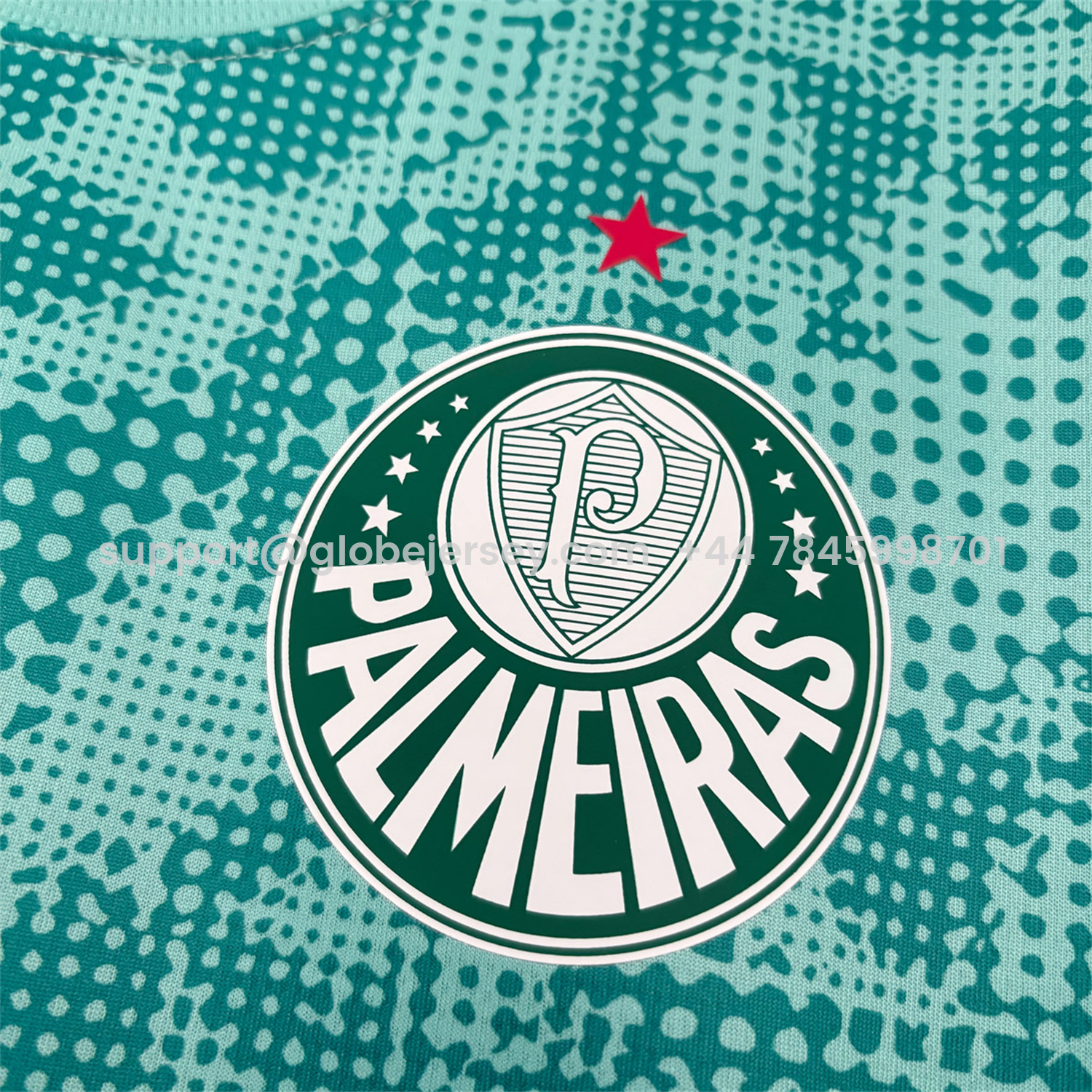 GlobeJersey-Palmeiras 26-27 Mint Green Training Jersey - Fans Version