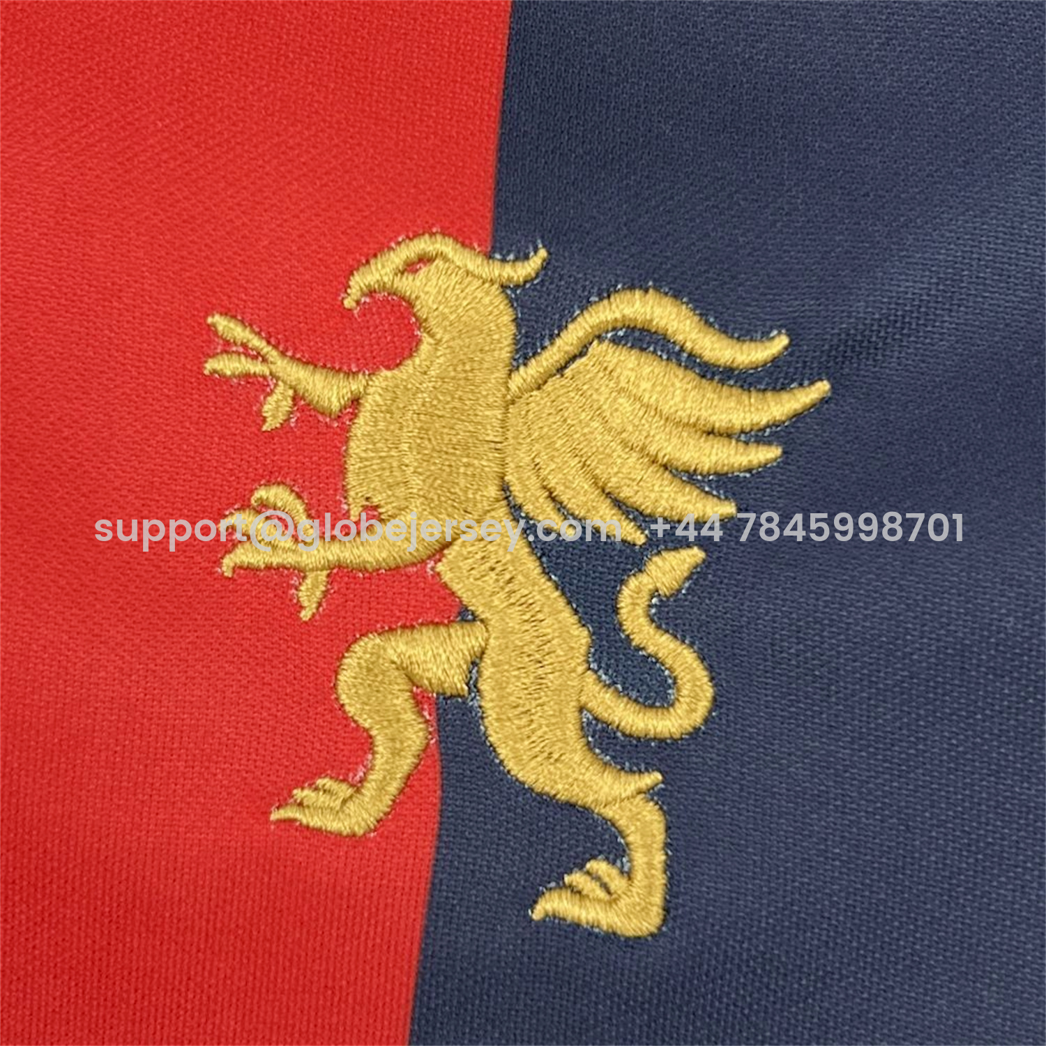 GlobeJersey-Genoa 25-26 Red And Blue Special Jersey - Fans Version