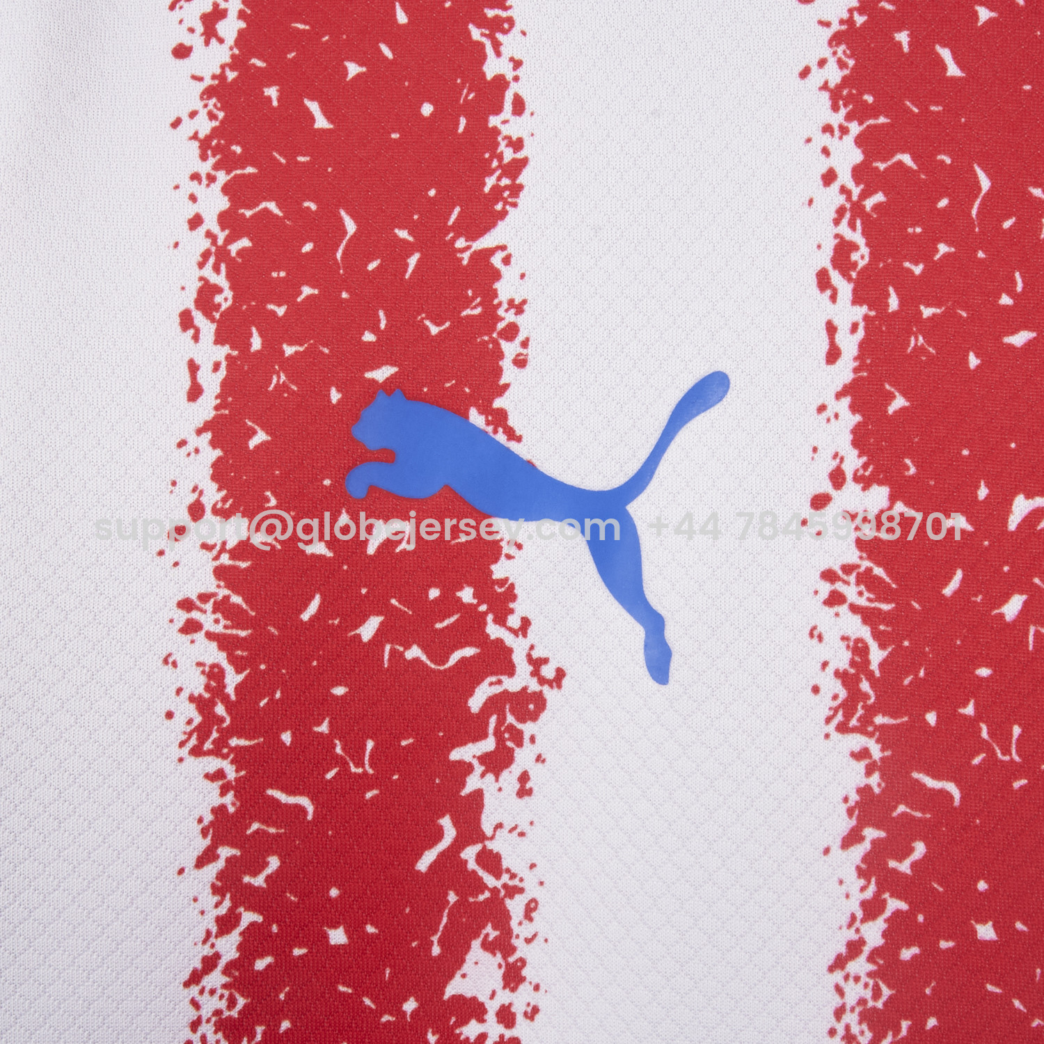 GlobeJersey-Paraguay 2026 Home Jersey - Fans Version