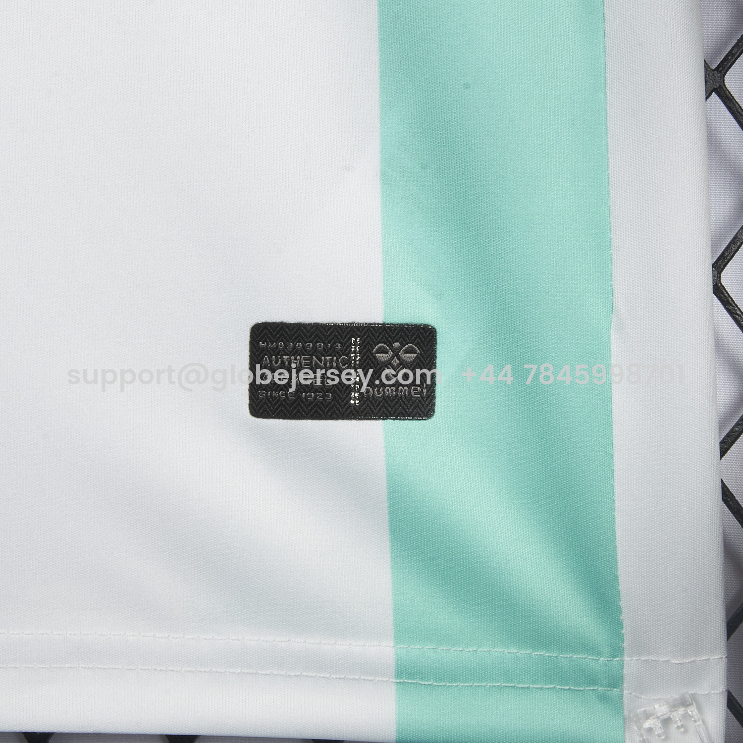 GlobeJersey-Werder Bremen 25-26 Green And White Special Jersey - Fans Version