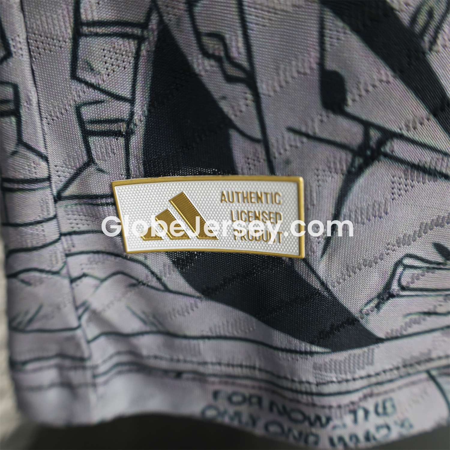 GlobeJersey-Japan 25-26 Vegeta Special Edition Jersey - Player Version