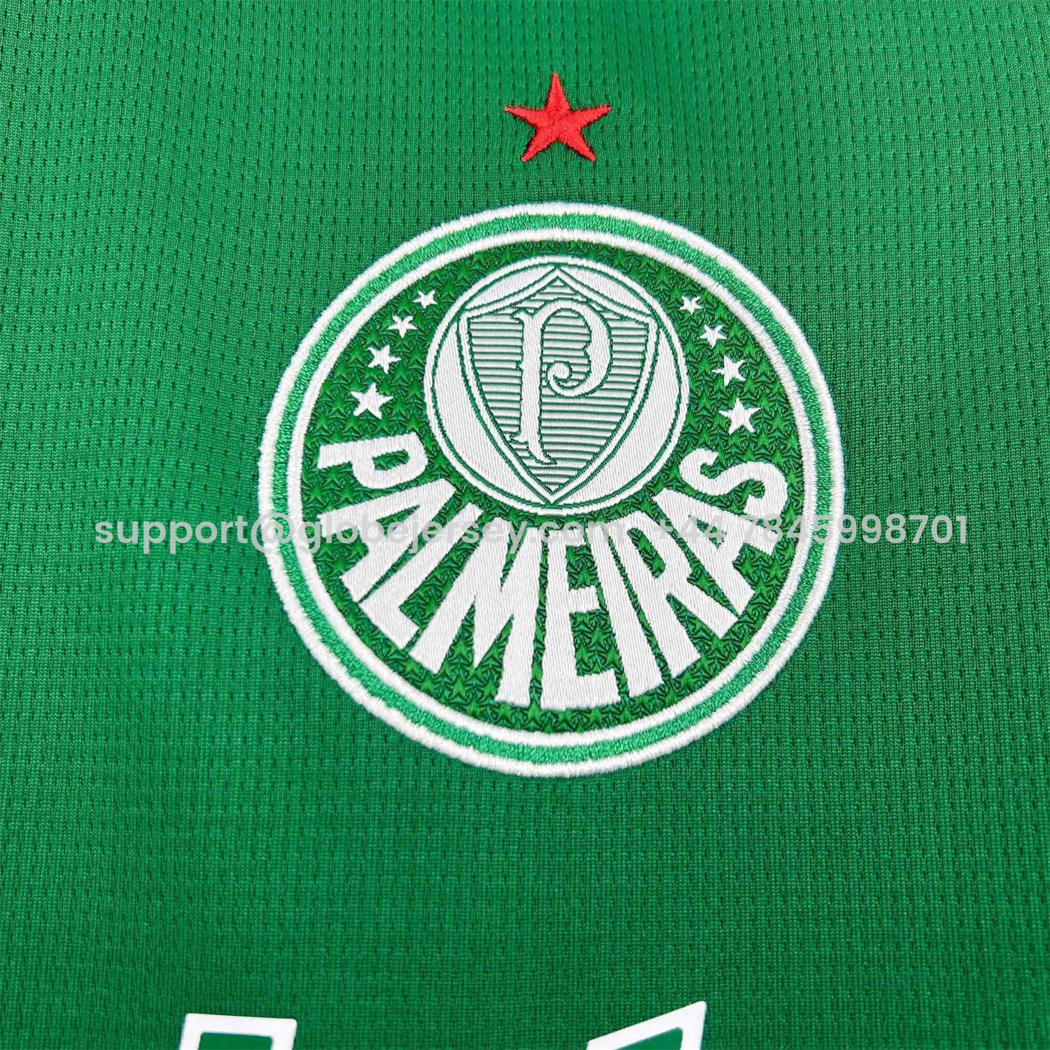 GlobeJersey-Women's Palmeiras 25-26 Home Jersey