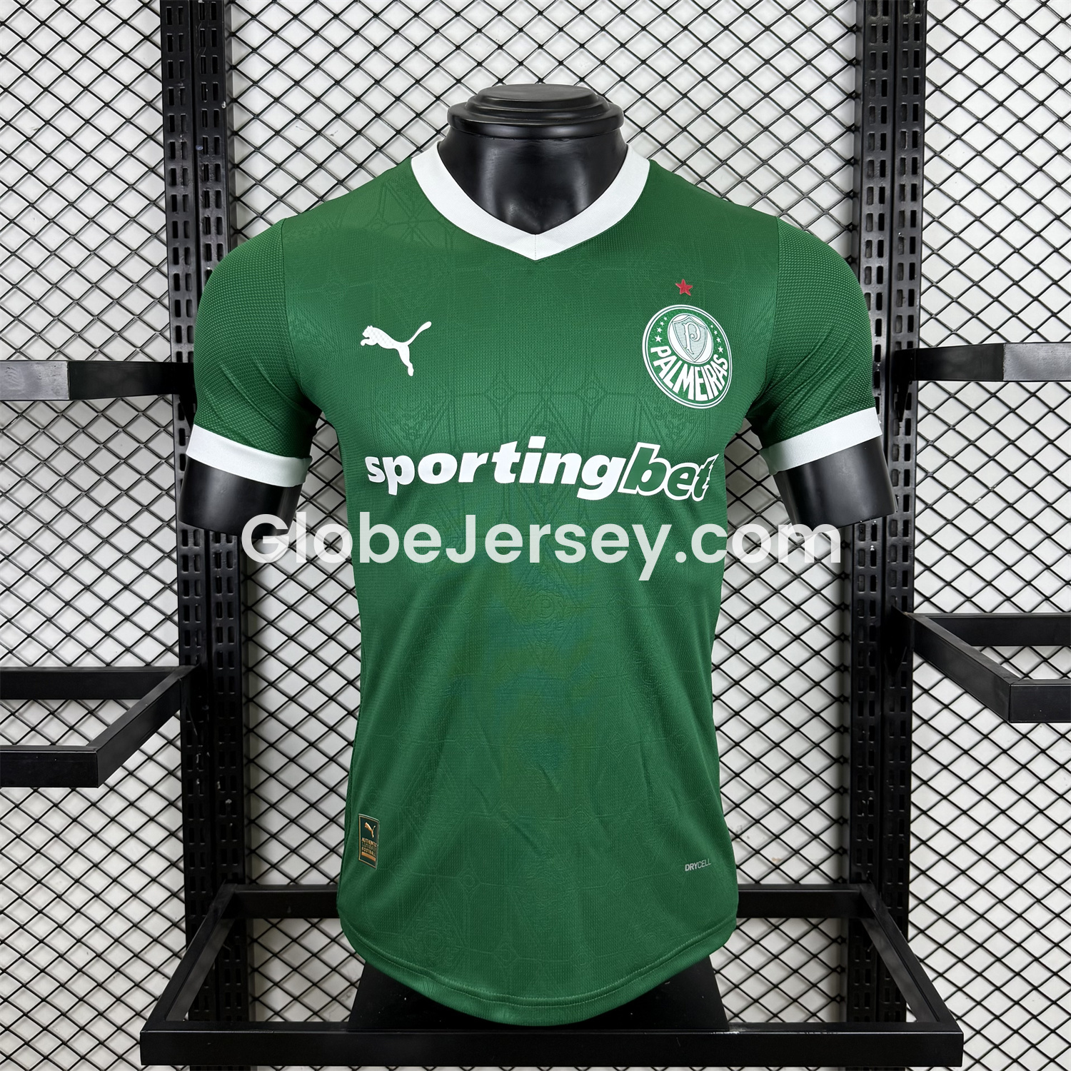 GlobeJersey-Palmeiras 2025-26 Home Jersey - Player Version