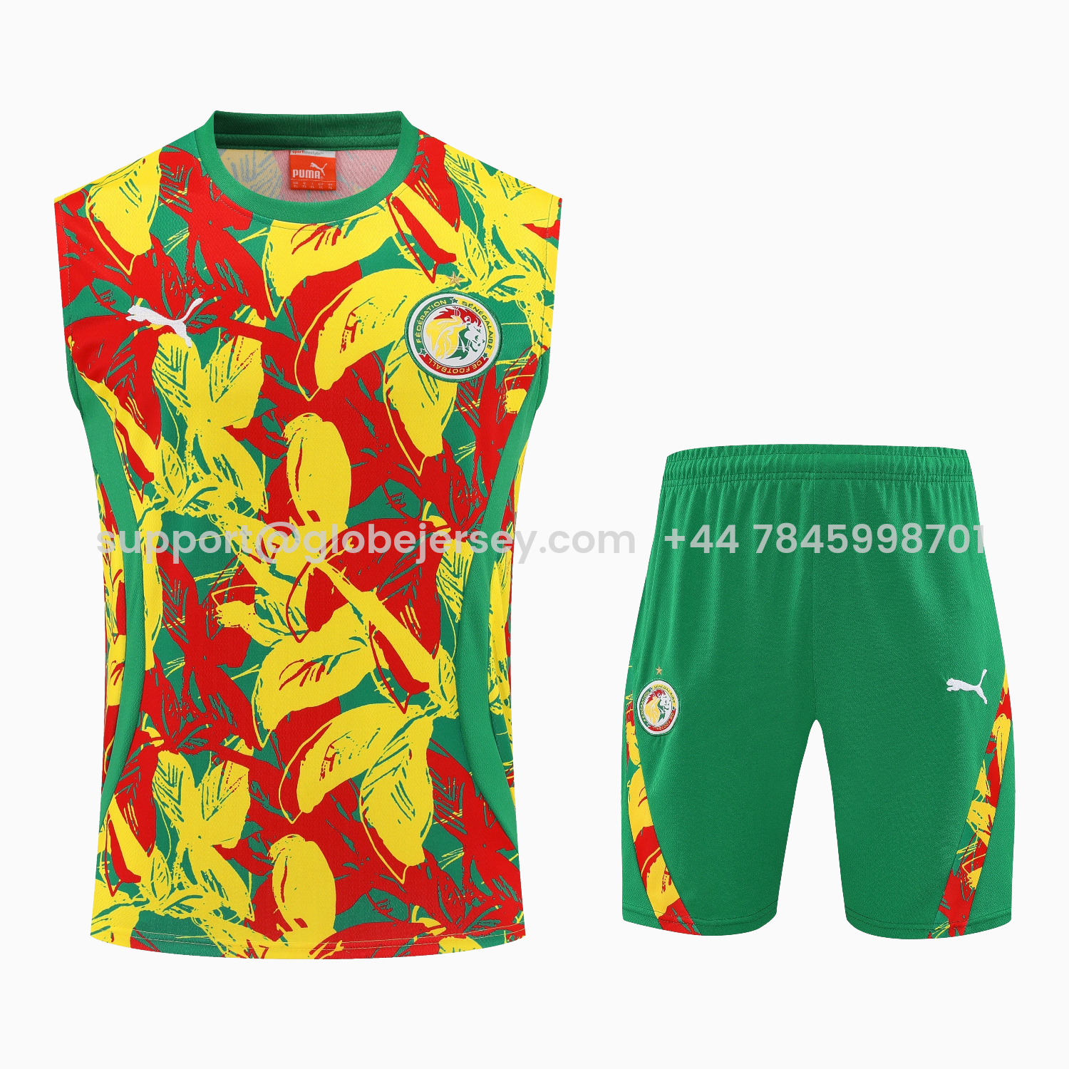 GlobeJersey-Senegal 2026 Vest Training Set - Variegated Vest and Green Shorts