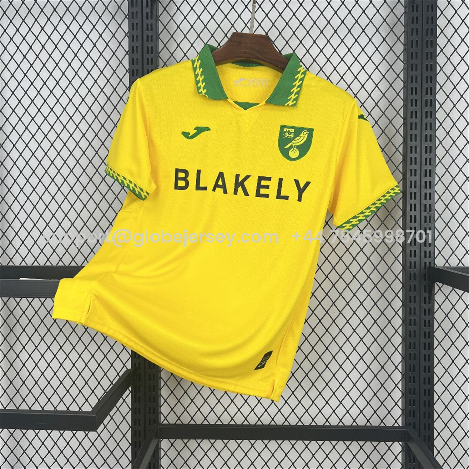 GlobeJersey-Norwich City 25-26 Home Jersey - Fans Version