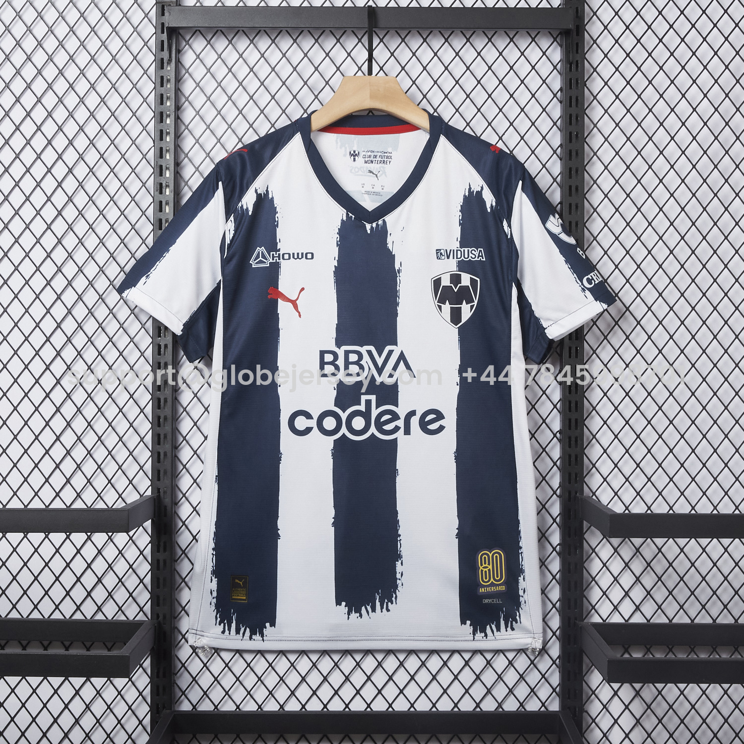 GlobeJersey-Rayados Monterrey 25-26 Home Stripes Jersey - Fans Version