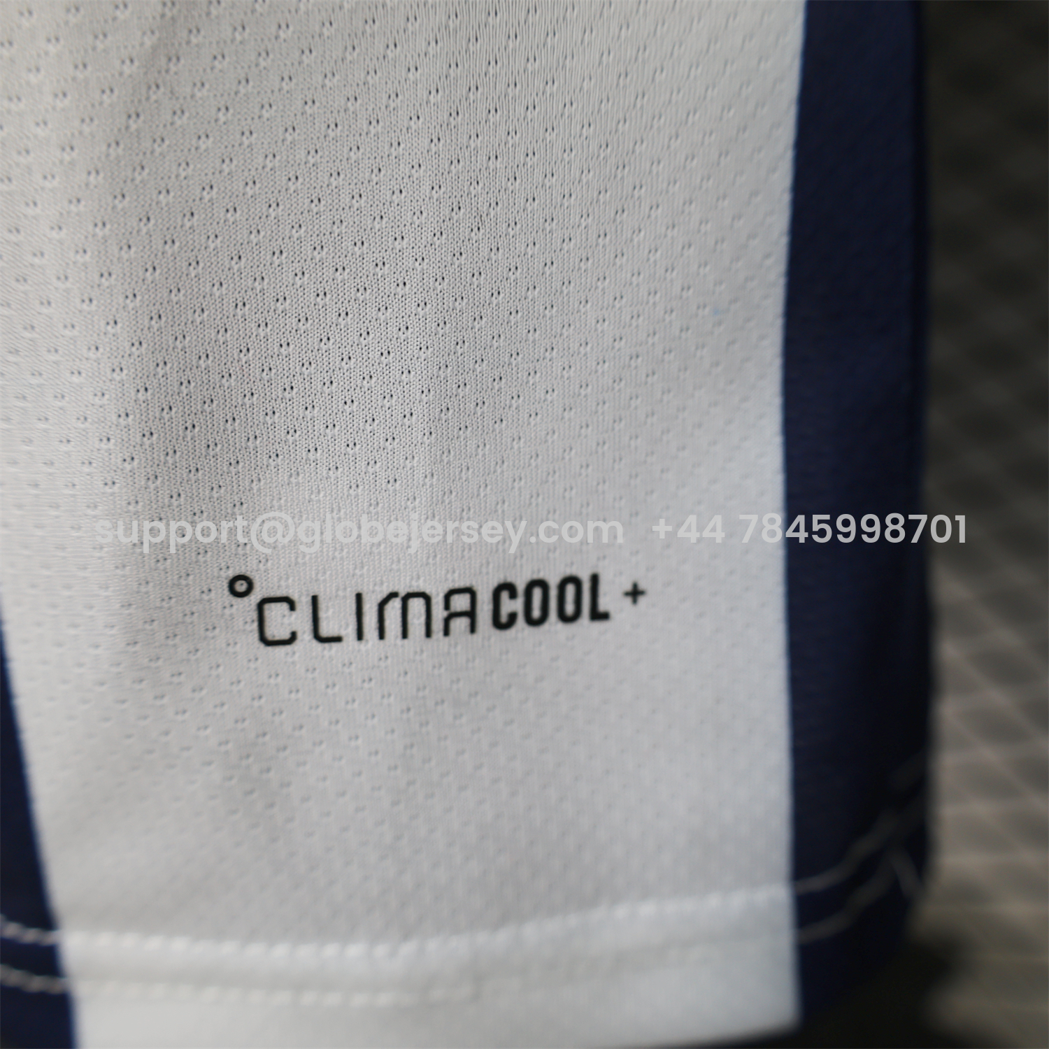 GlobeJersey-Wales 2026 Blue And White Special Jersey - Player Version