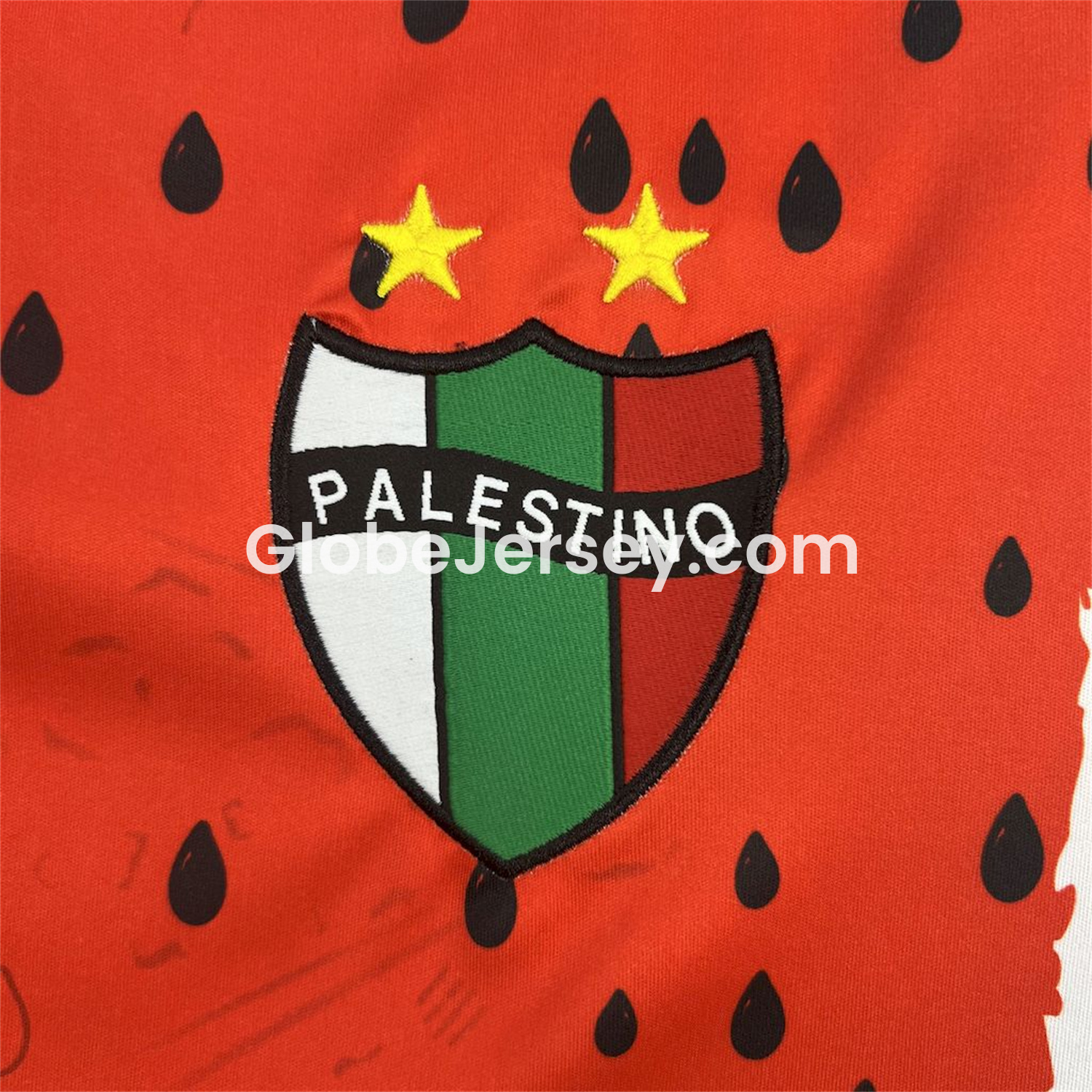 GlobeJersey-Club Deportivo Palestino 25-26 Third Jersey - Fans Version
