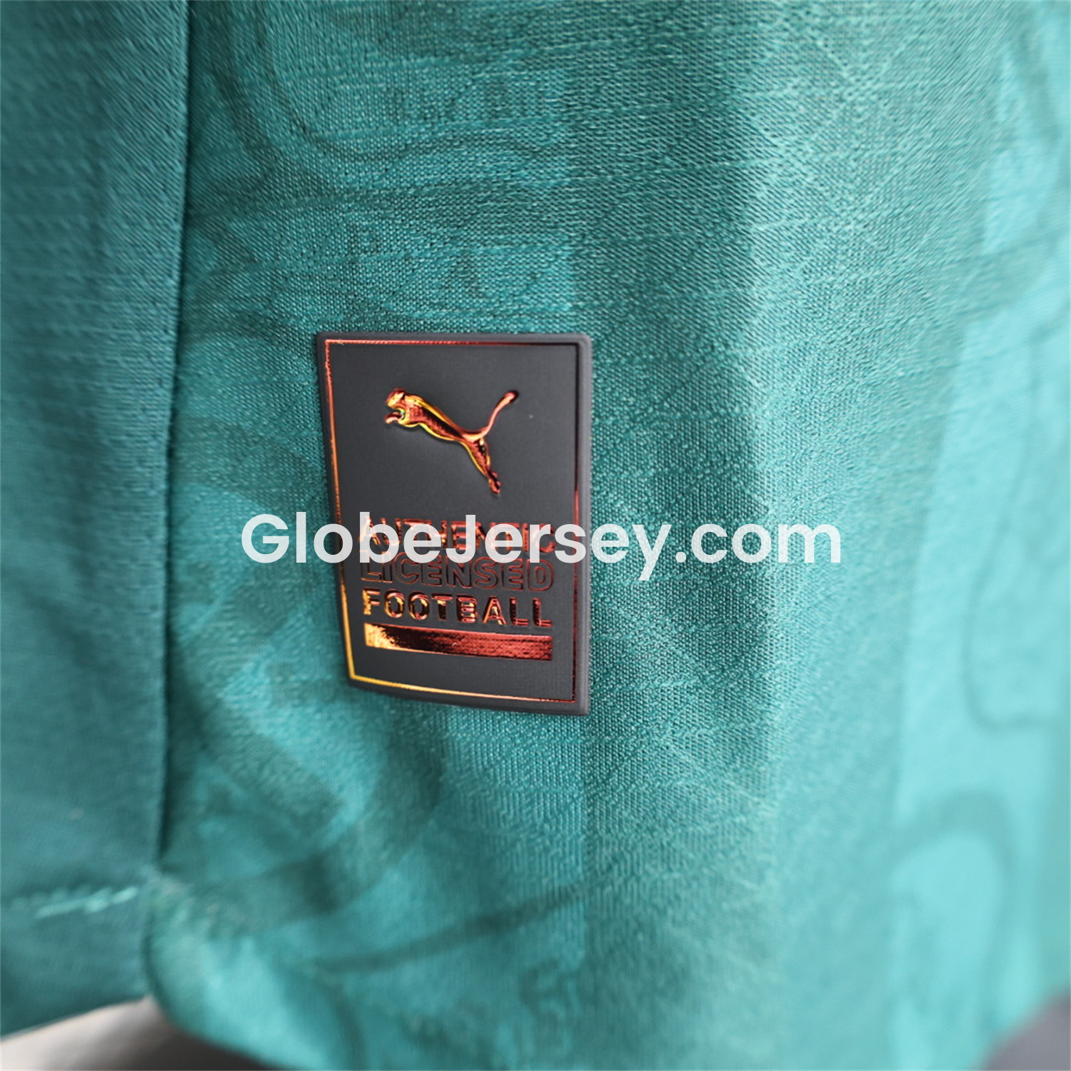 GlobeJersey-Plymouth Argyle 25-26 Home Unsponsored Jersey - Player Version