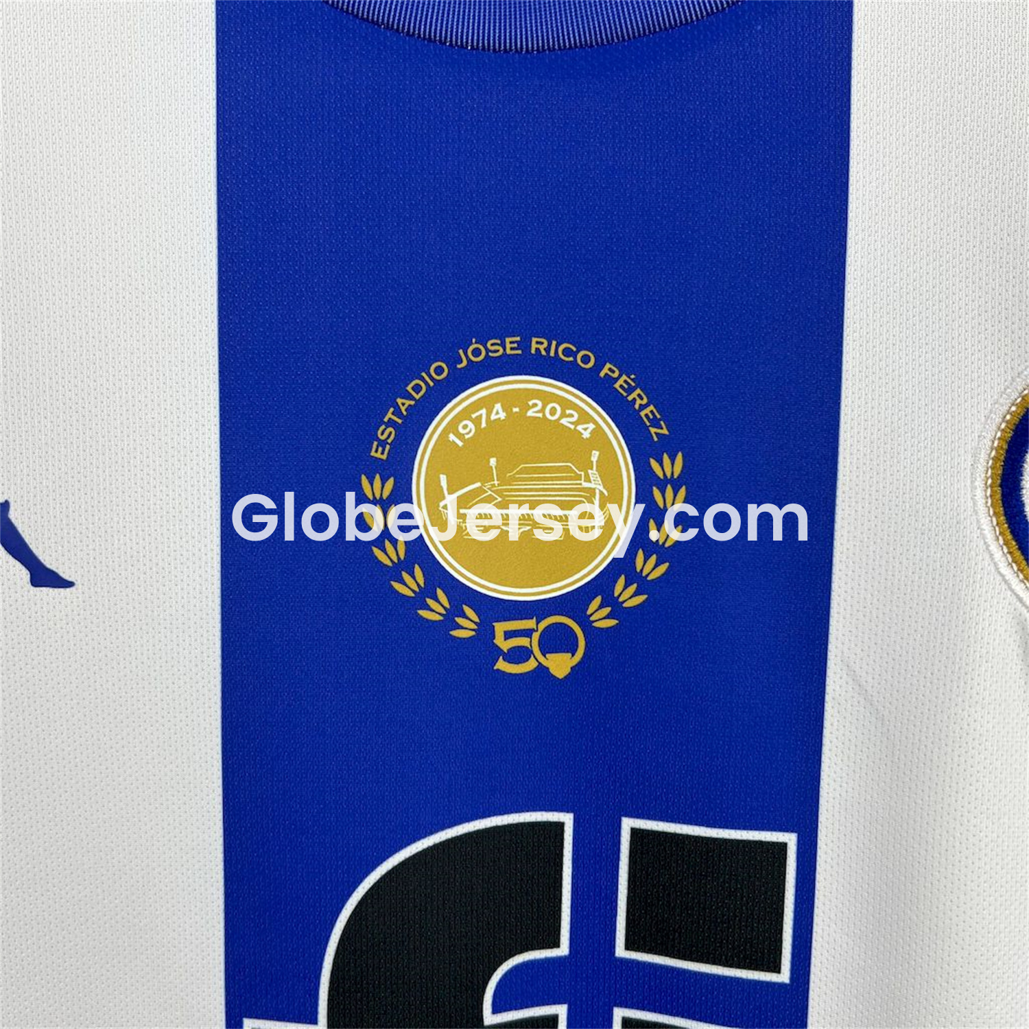 GlobeJersey-Hércules CF 25-26 Home Jersey - Fans Version