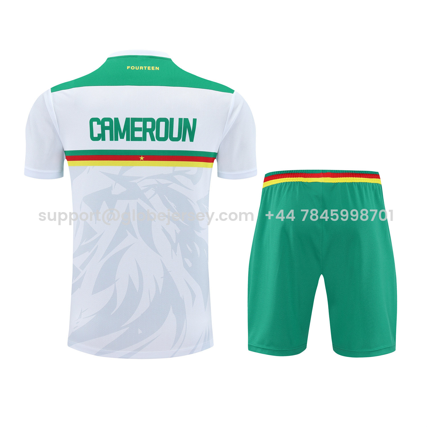 GlobeJersey-Cameroon 25-26 Short-Sleeve Training Set - White Top and Green Shorts