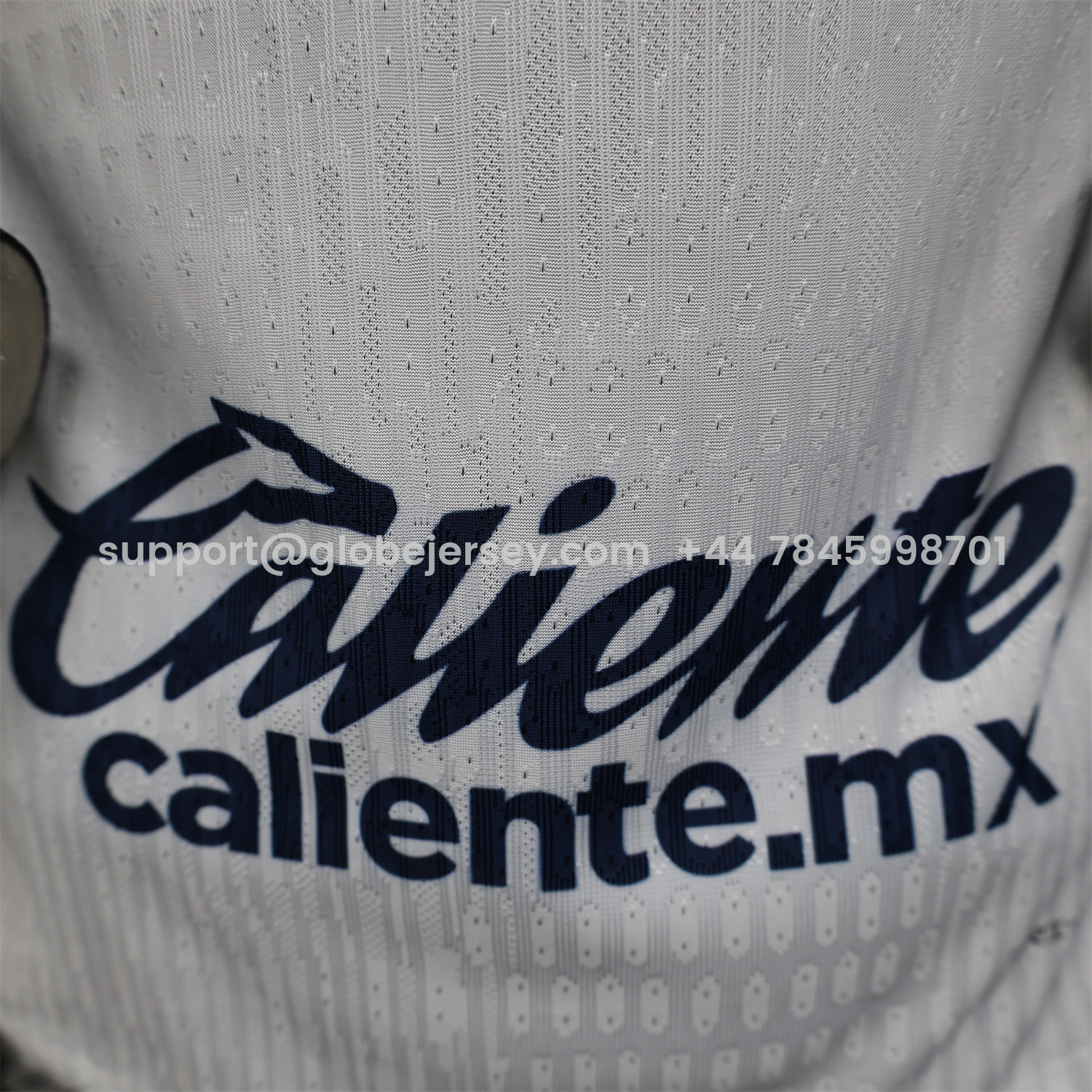 GlobeJersey-Pumas UNAM 25-26 Home Jersey - Player Version