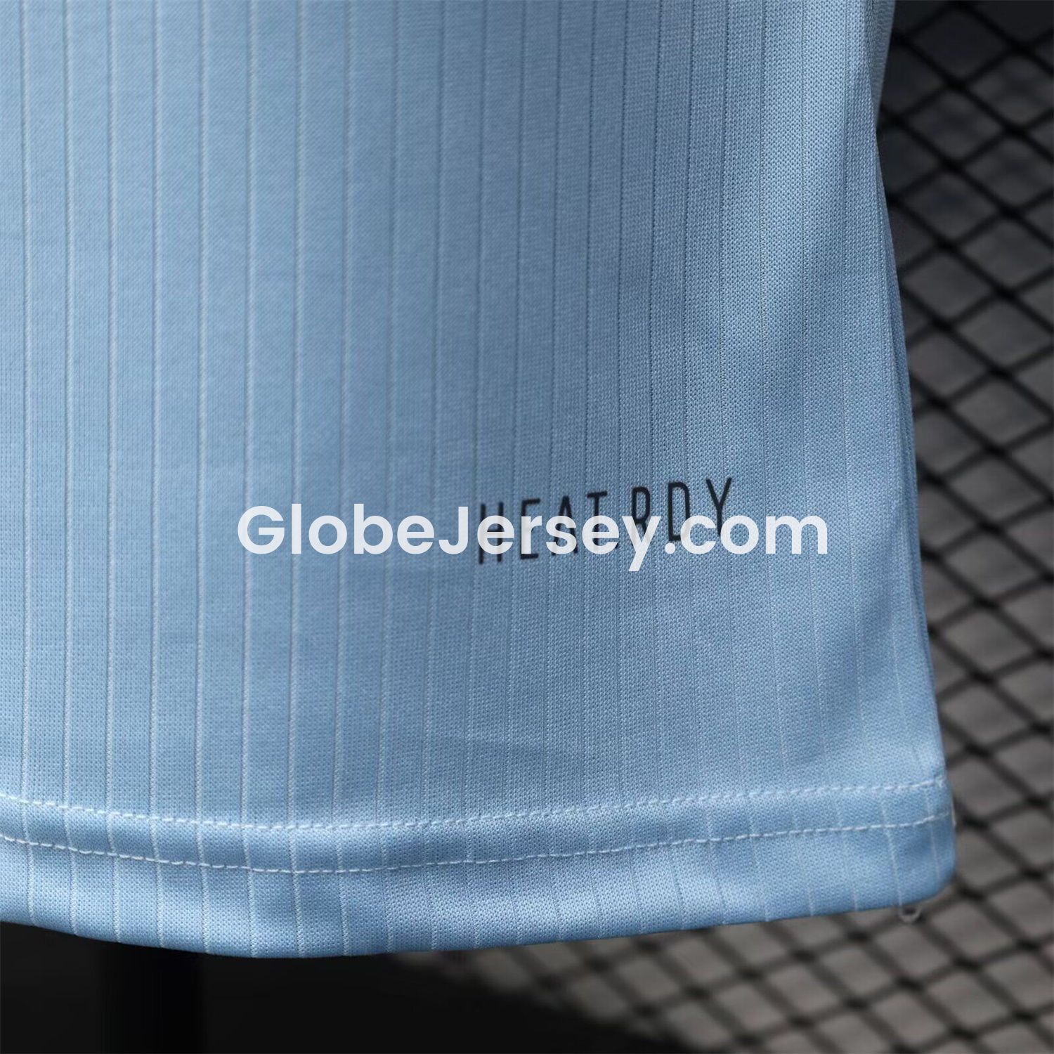 GlobeJersey-Germany 2025 125-Year Anniversary GK Blue Jersey - Player Version