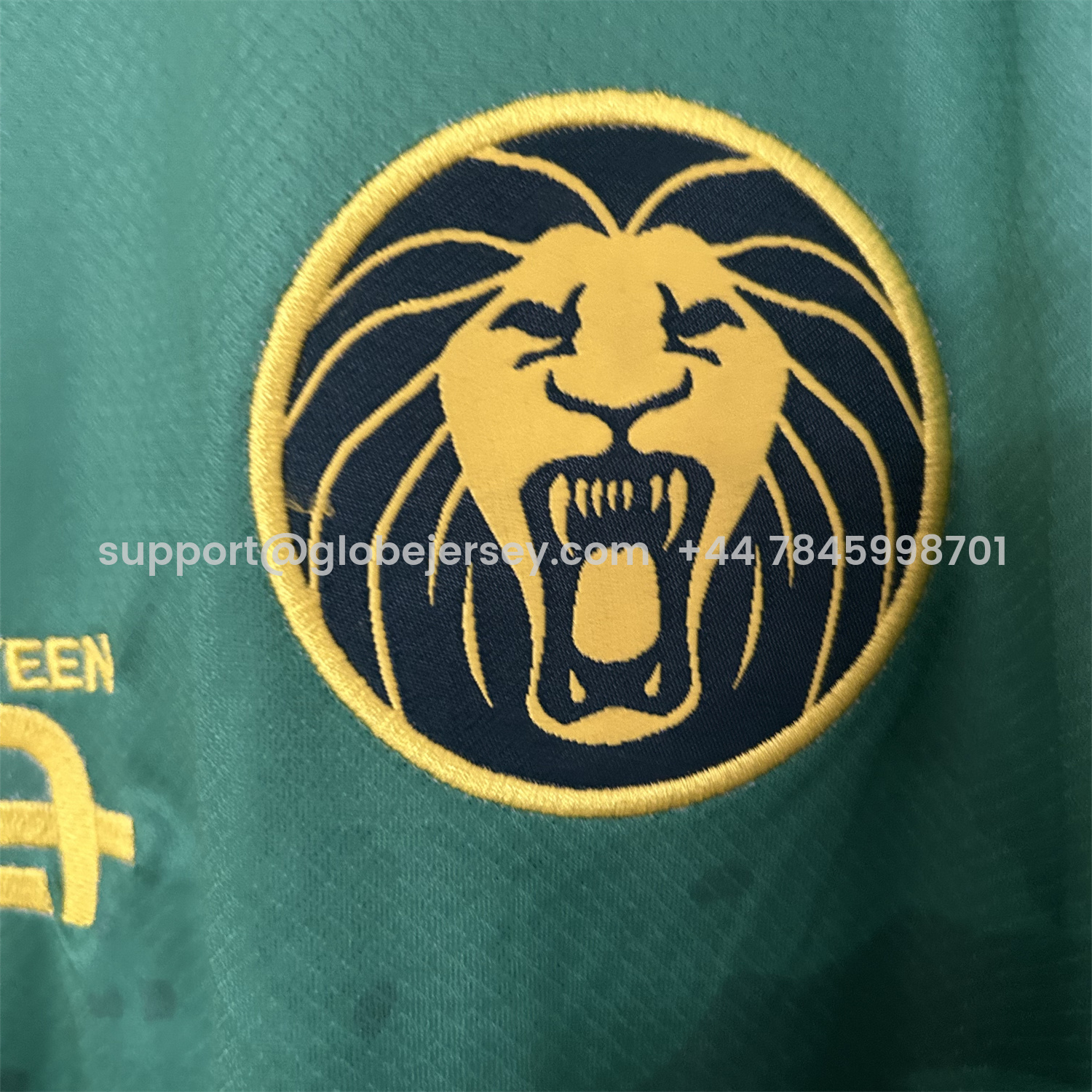 GlobeJersey-Cameroon 25-26 Home Jersey - Fans Version