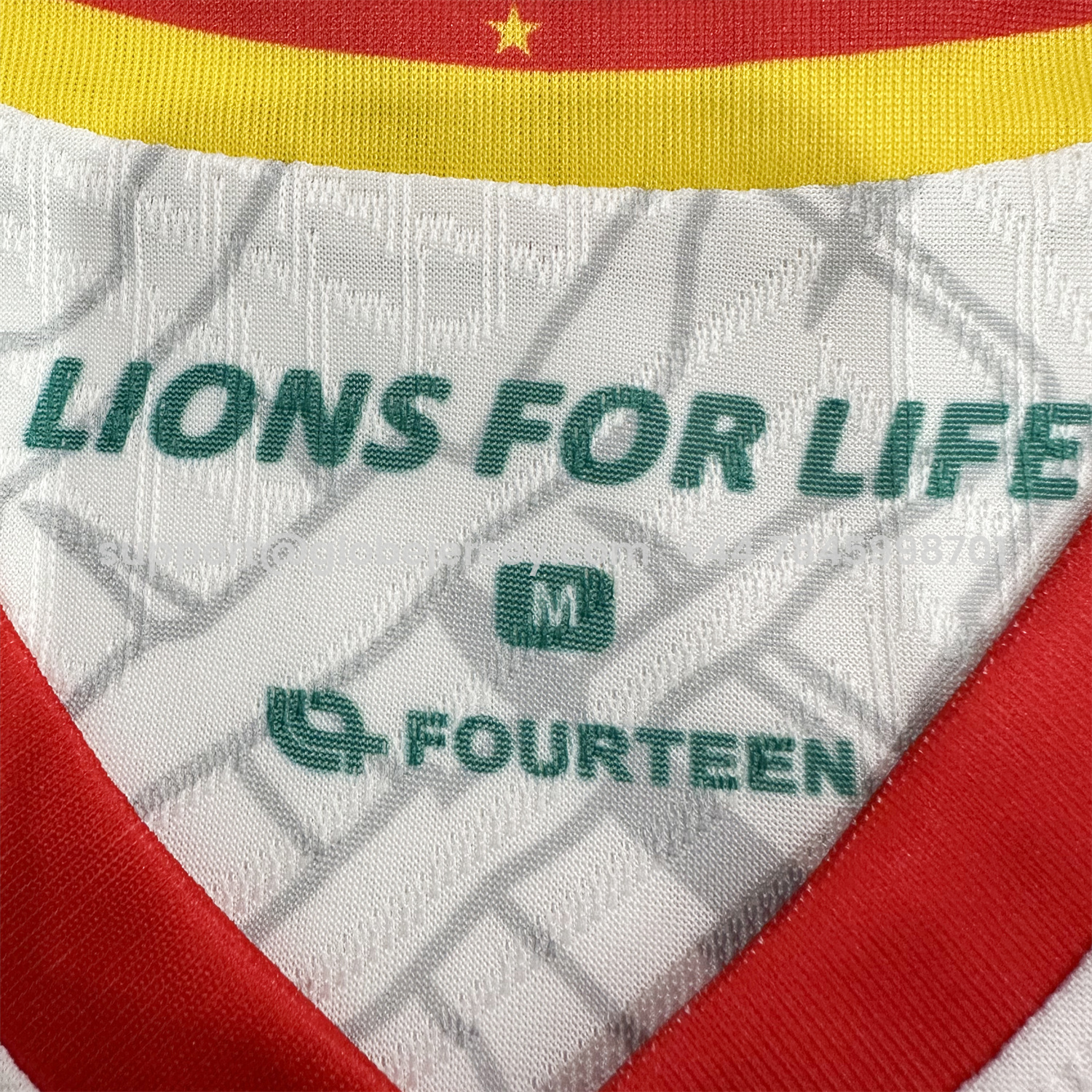 GlobeJersey-Cameroon 25-26 Third Jersey - Player Version