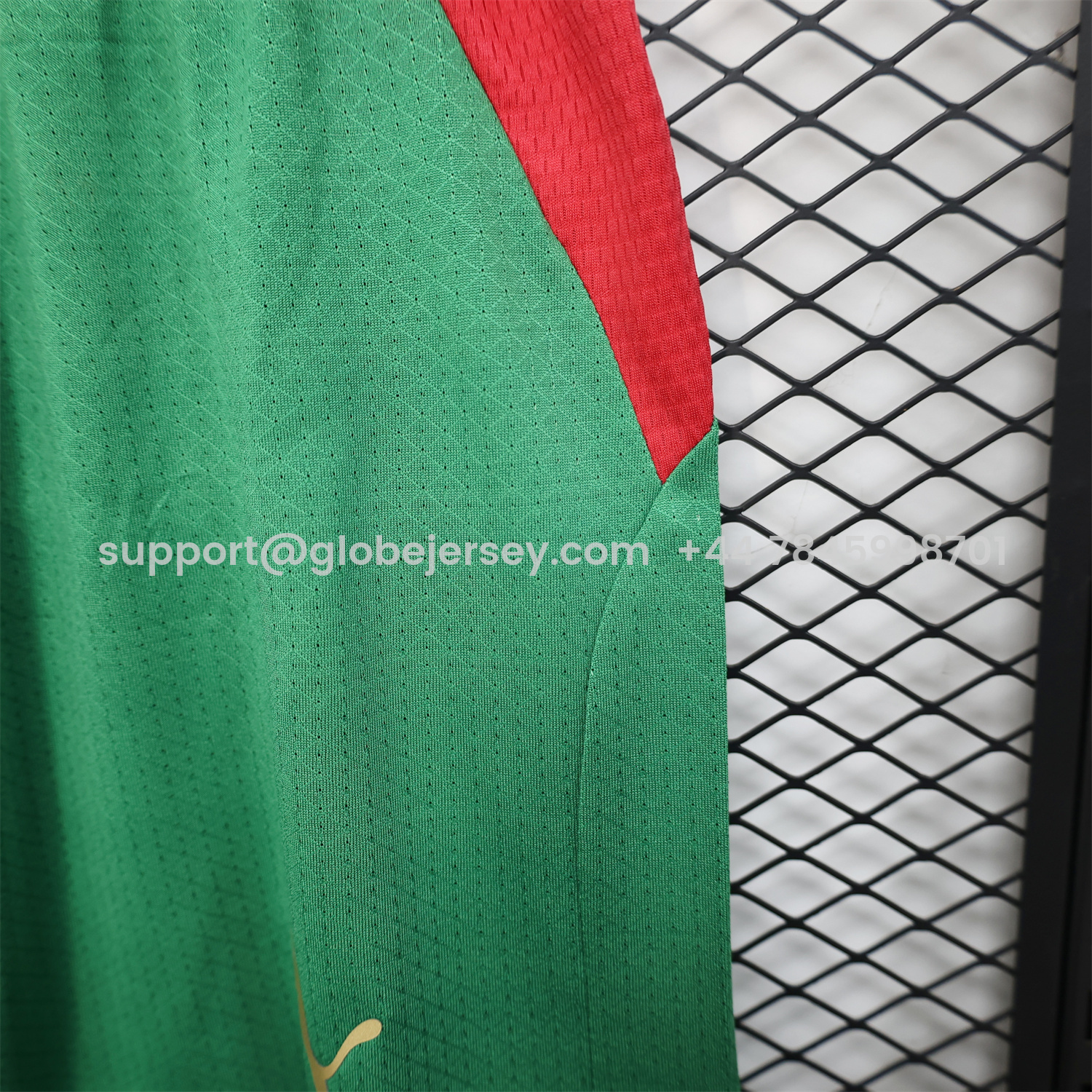 GlobeJersey-Morocco 2026 Home Green Shorts - Player Version