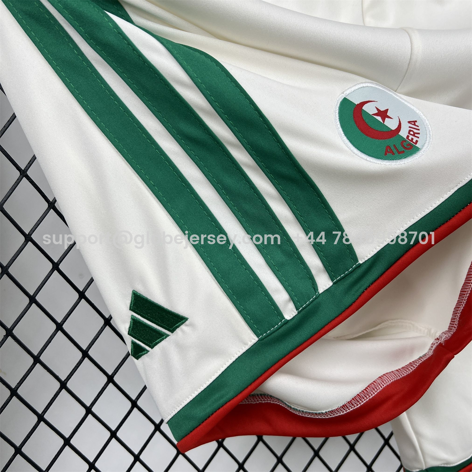 GlobeJersey-Algeria 2026 Home Shorts - Fans Version