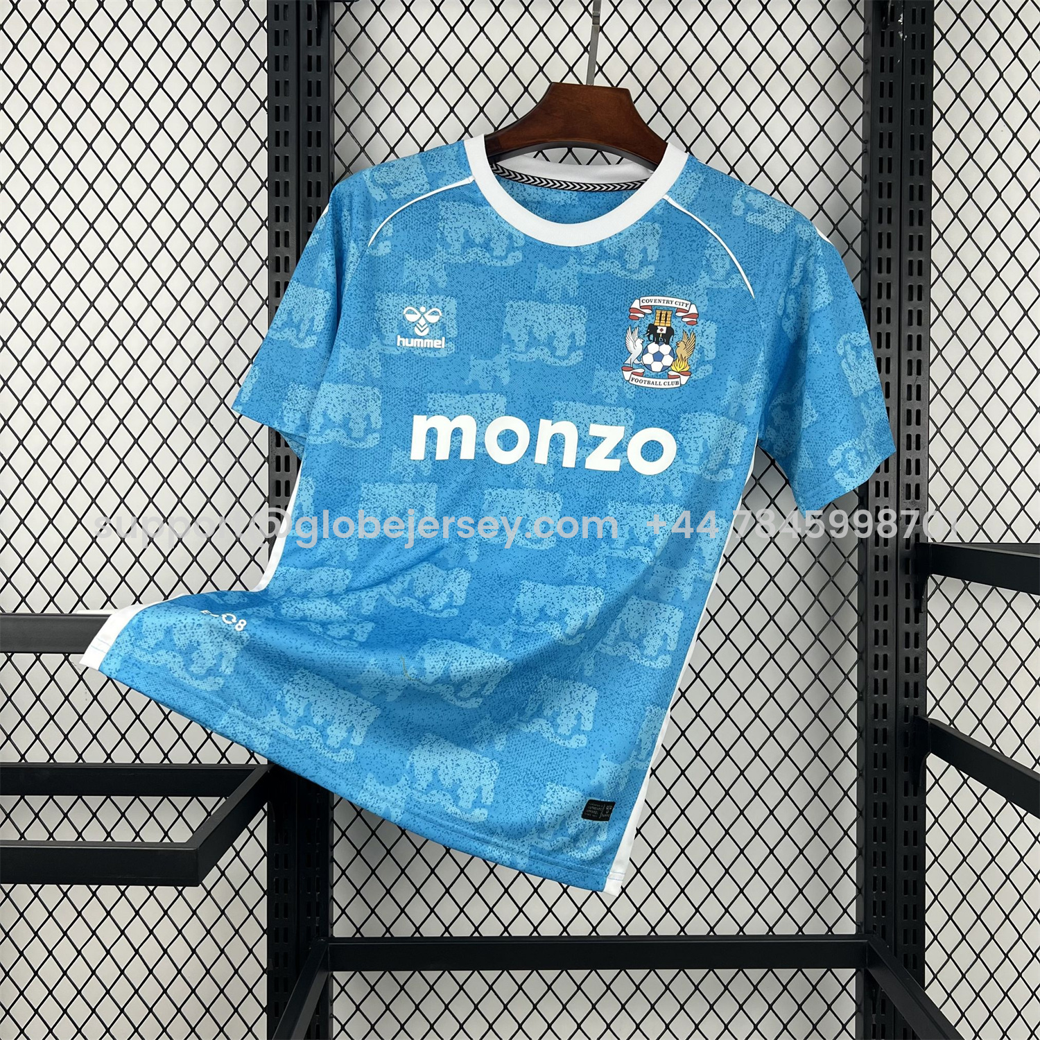 GlobeJersey-Coventry City 25-26 Home Jersey - Fans Version