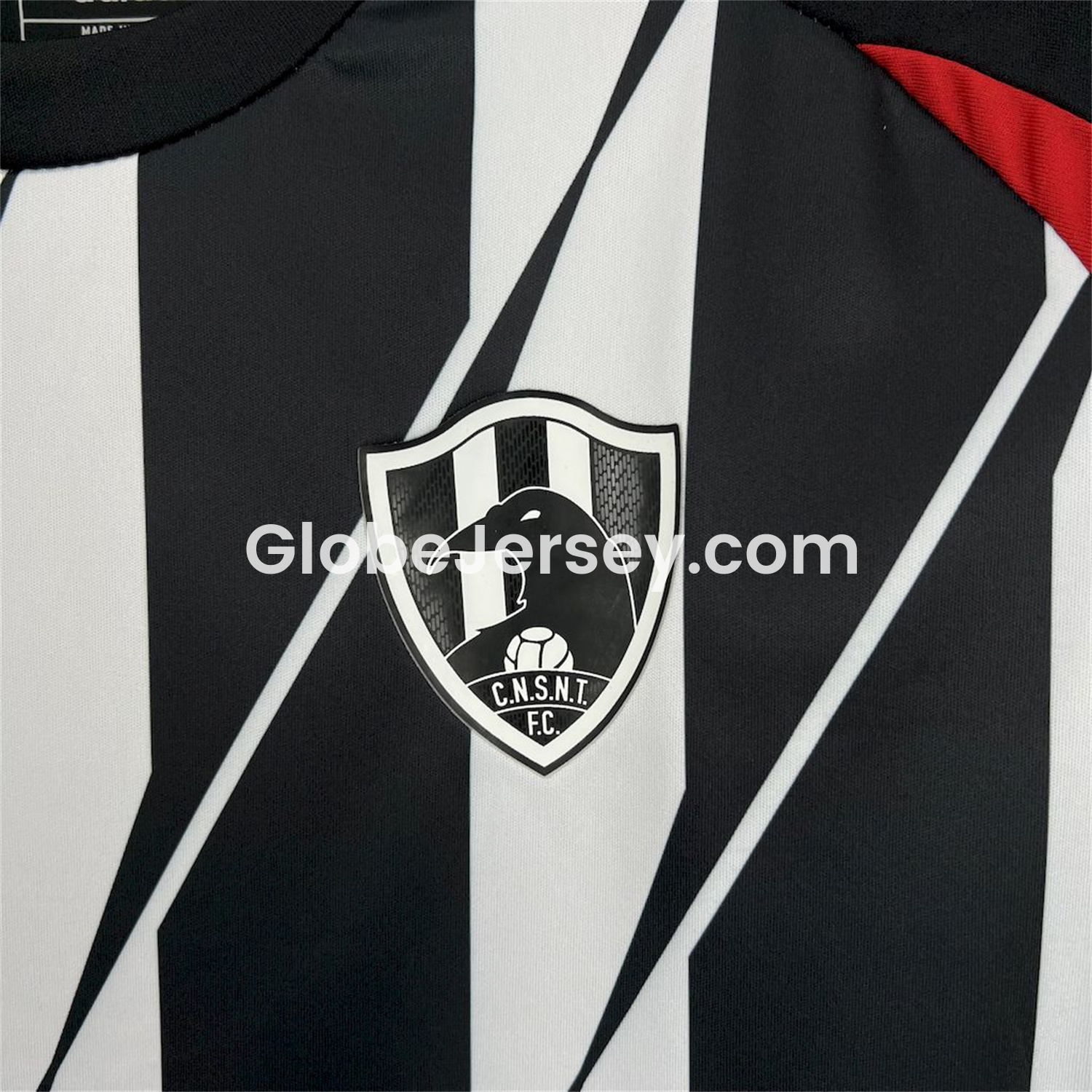 GlobeJersey-Club de Cuervos 25-26 Home Jersey - Fans Version